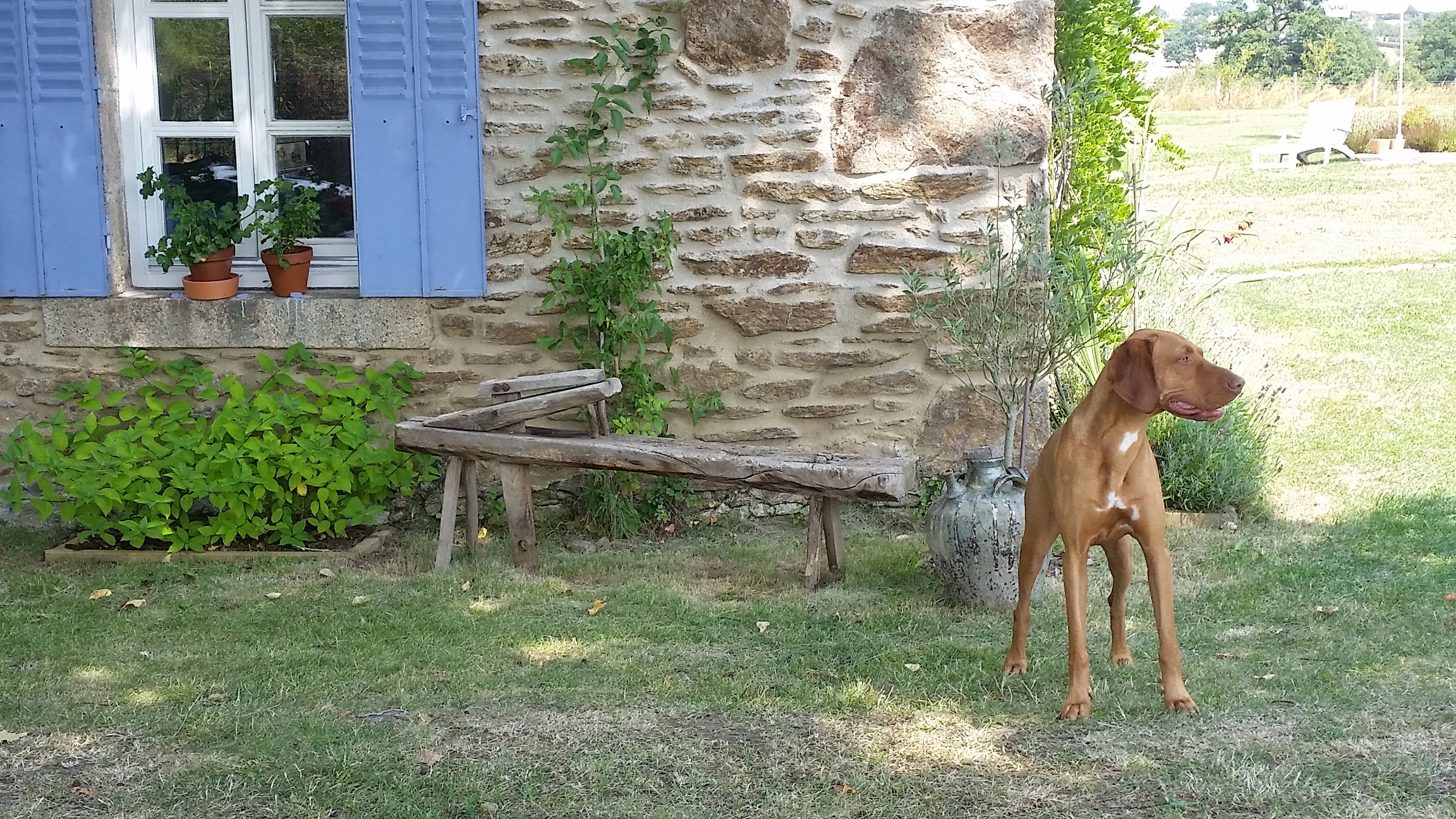 Natuurhuisje in Moureuille, Puy de Dome