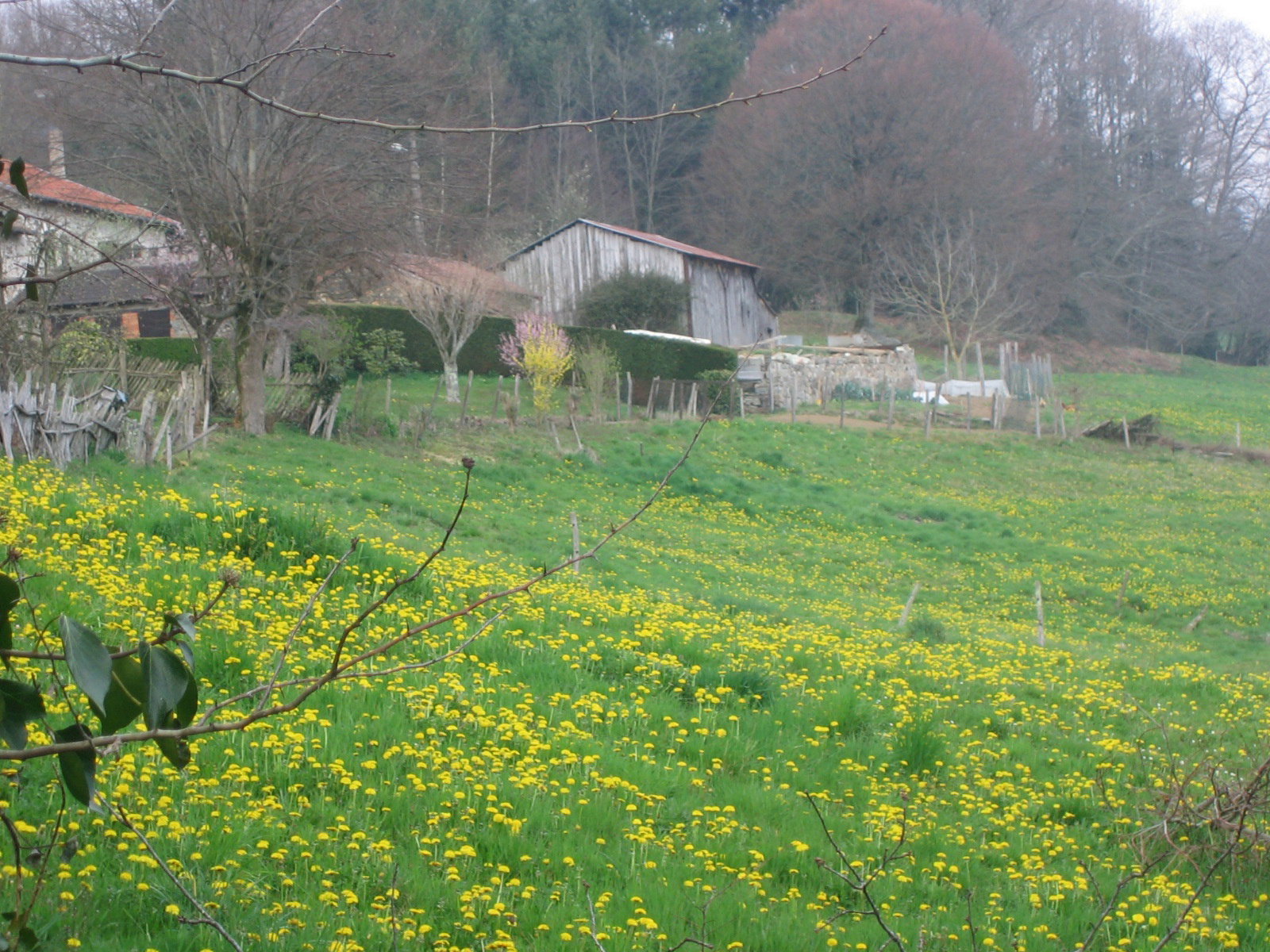 - image: 19