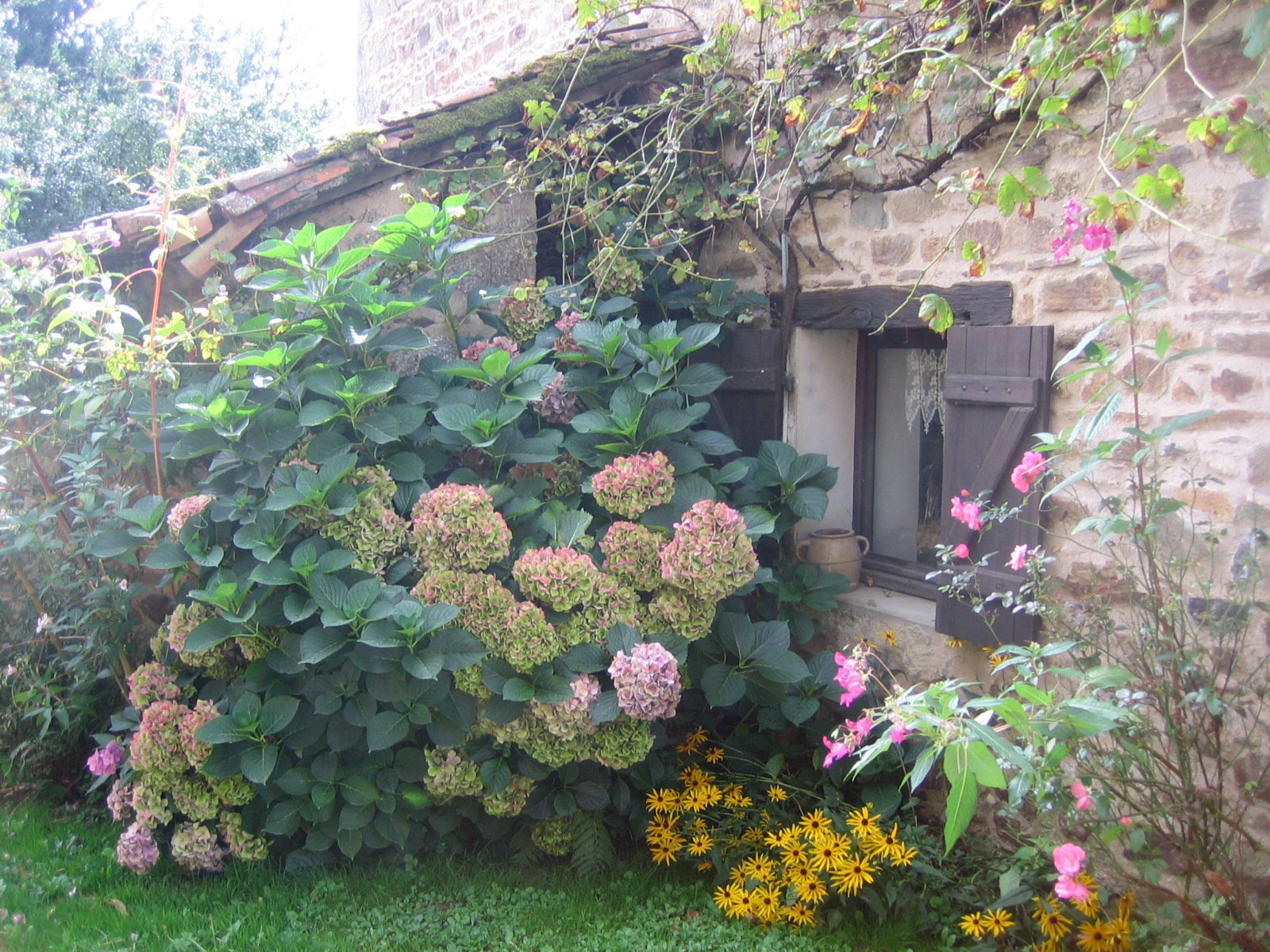 - image: 25