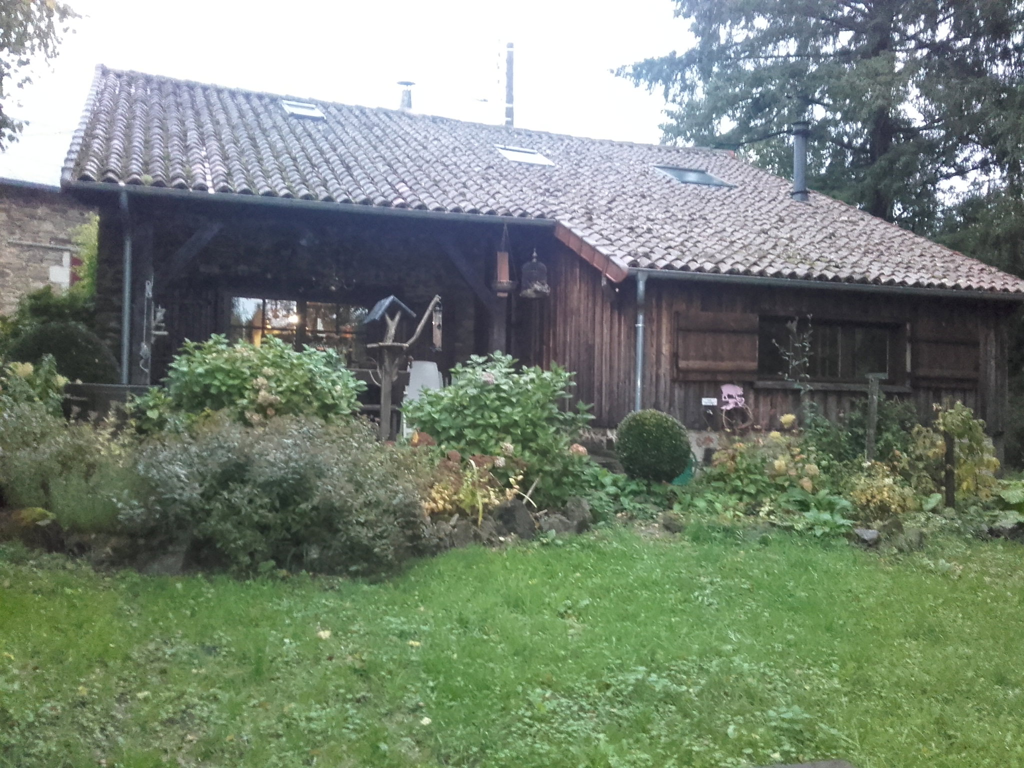 - image: 55