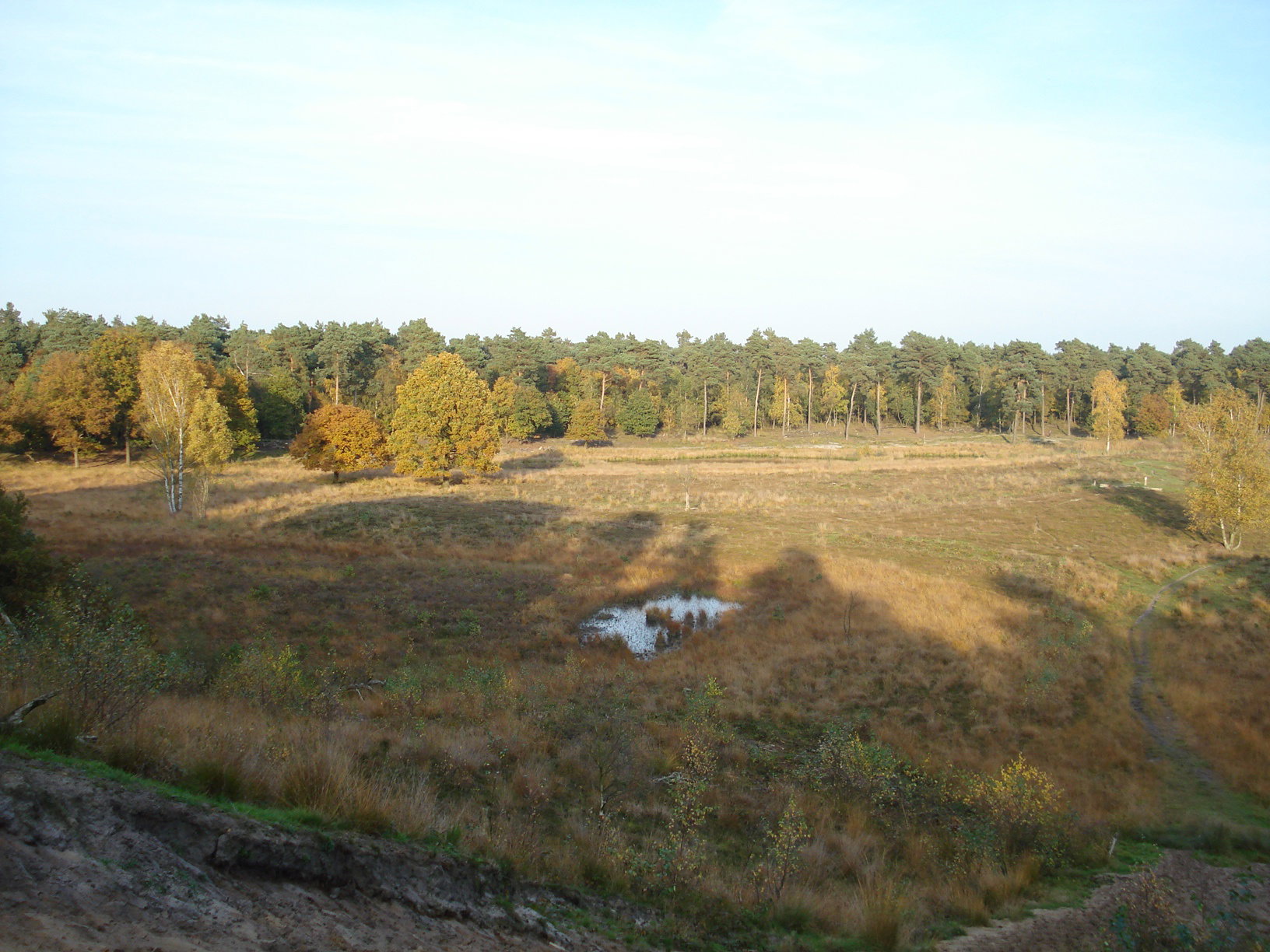 - image: 12
