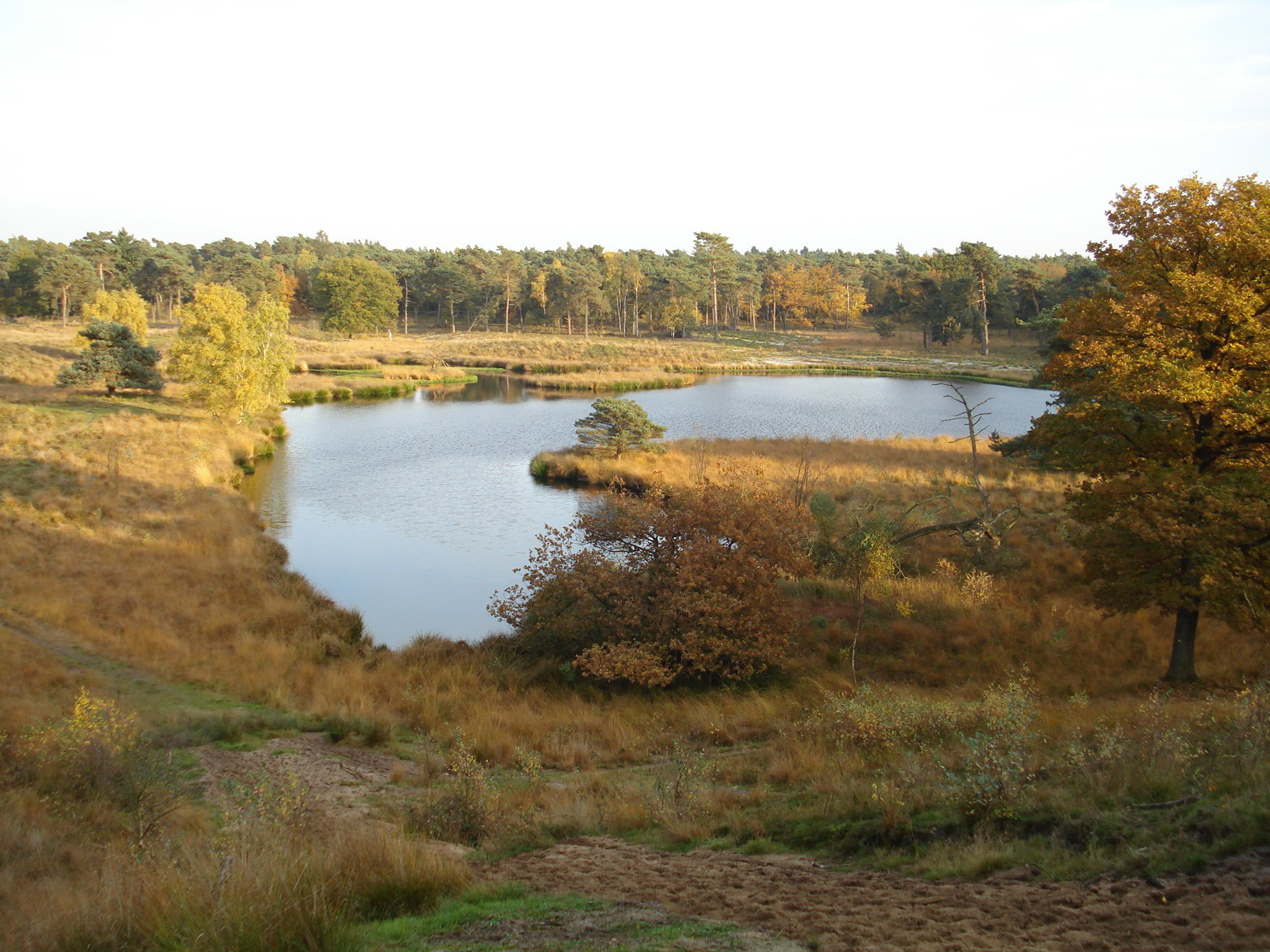- image: 11