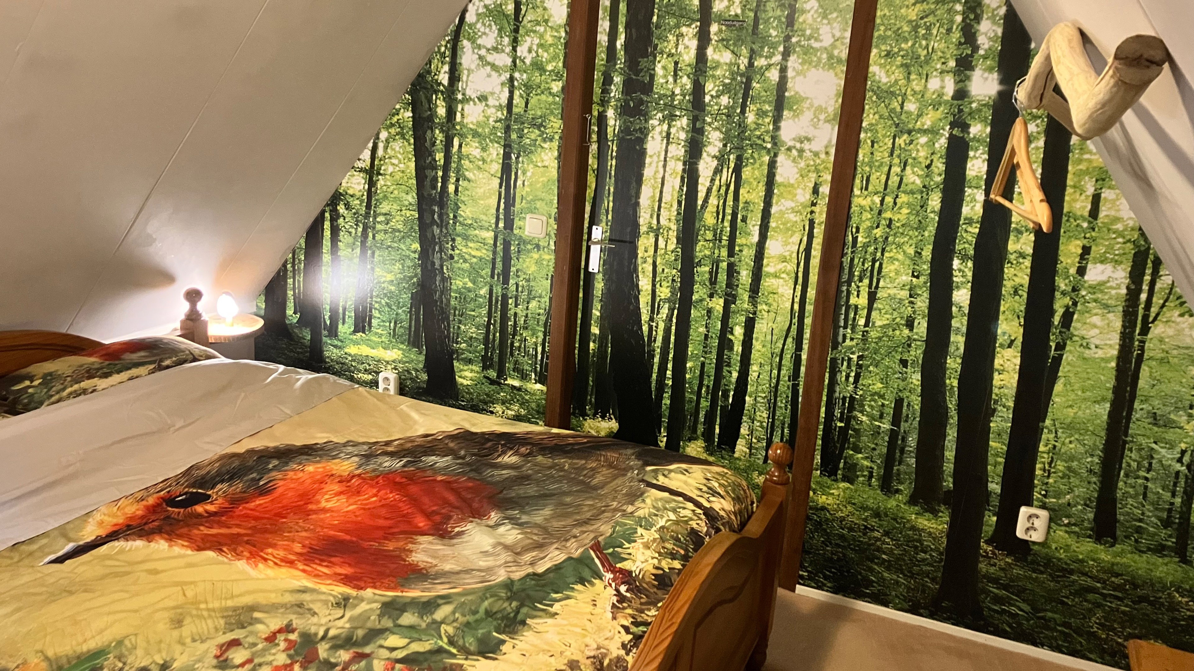 Casa nella natura a Twijzelerheide