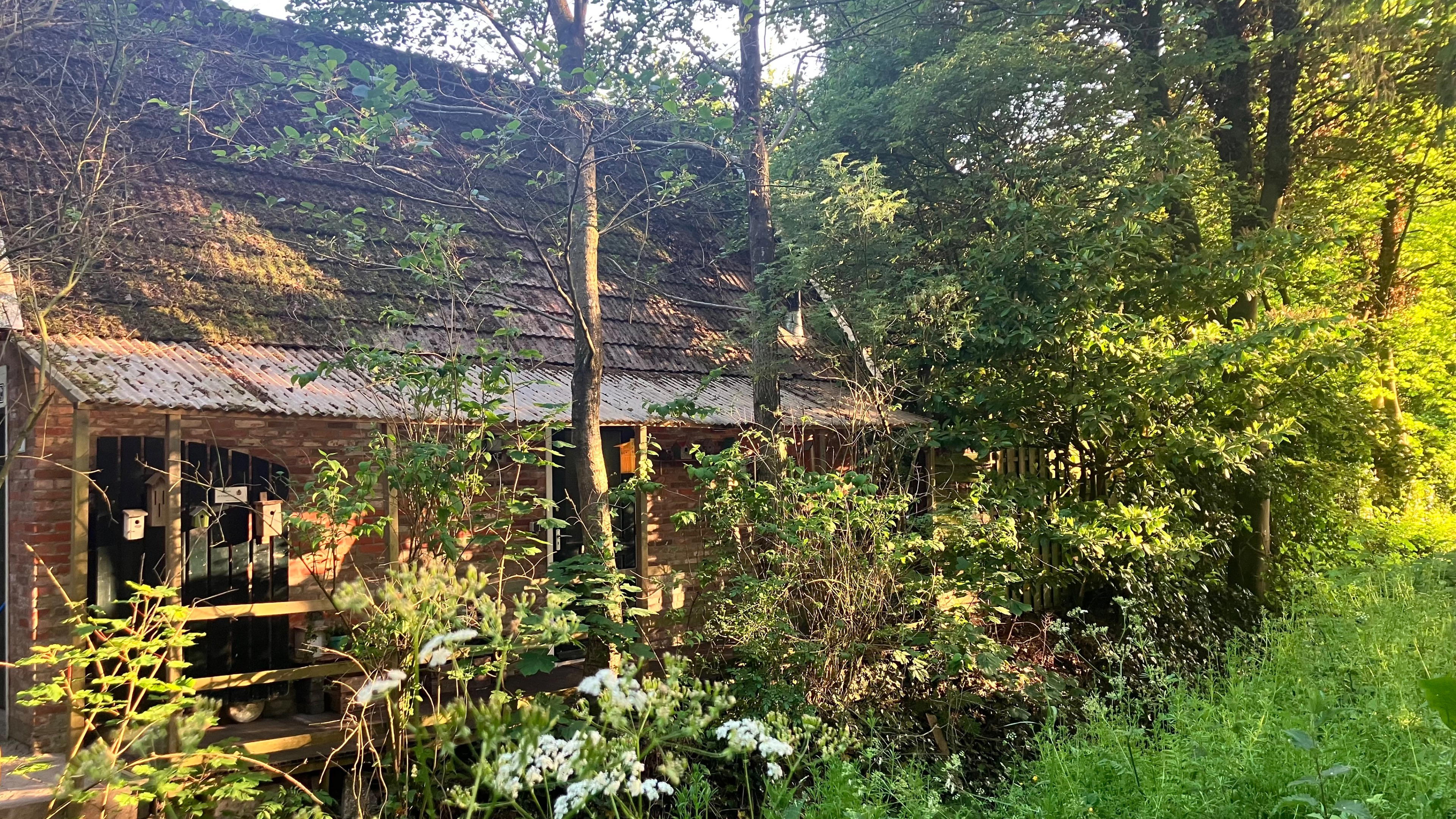 Natuurhuisje in Twijzelerheide
