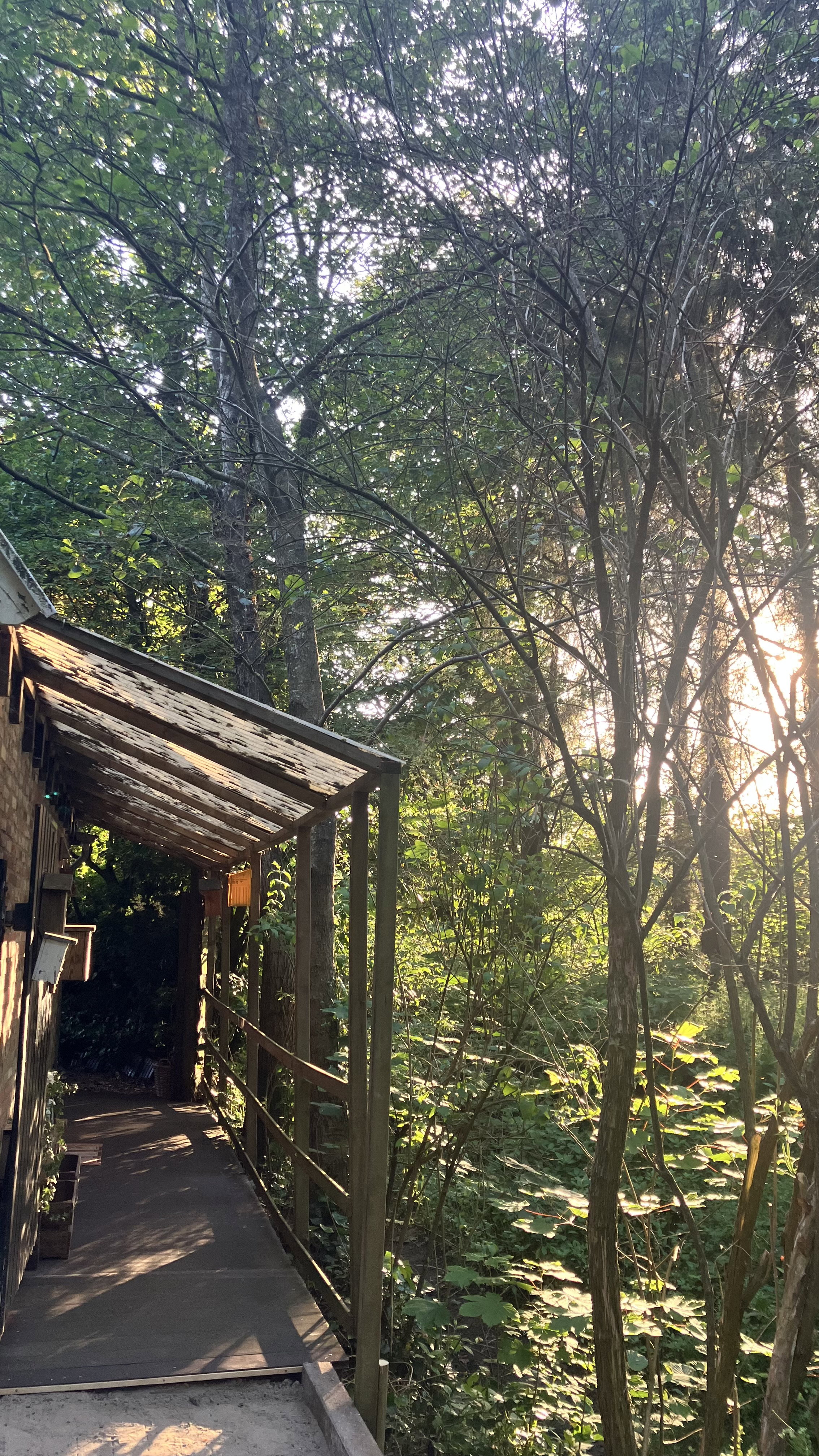 Casa nella natura a Twijzelerheide