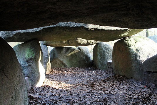 - image: 13