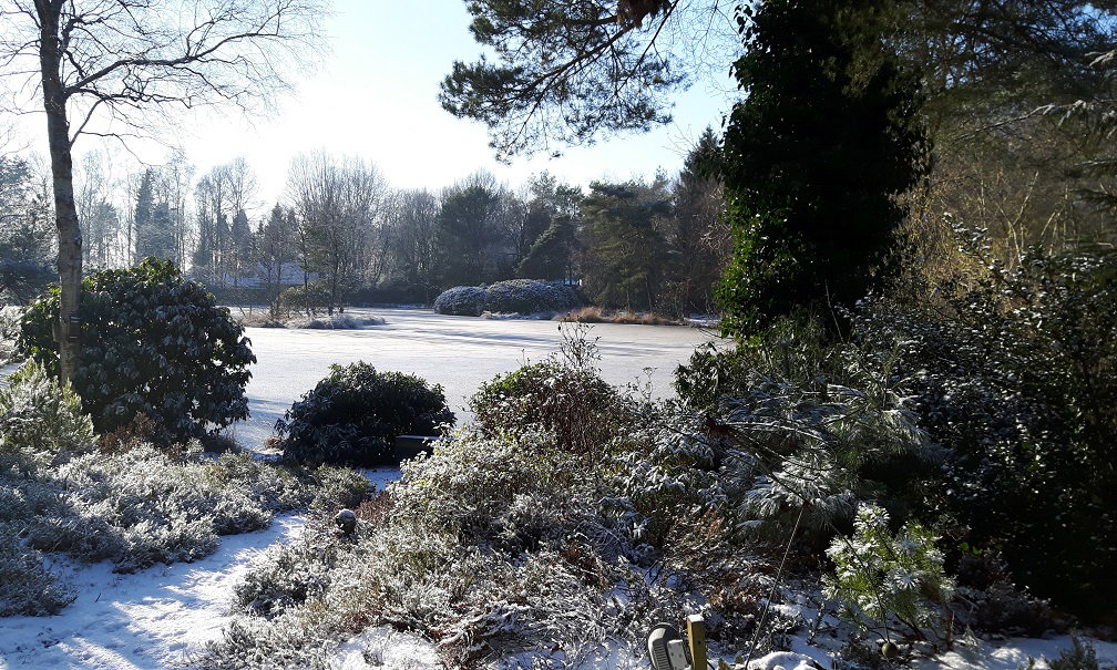 - image: 13
