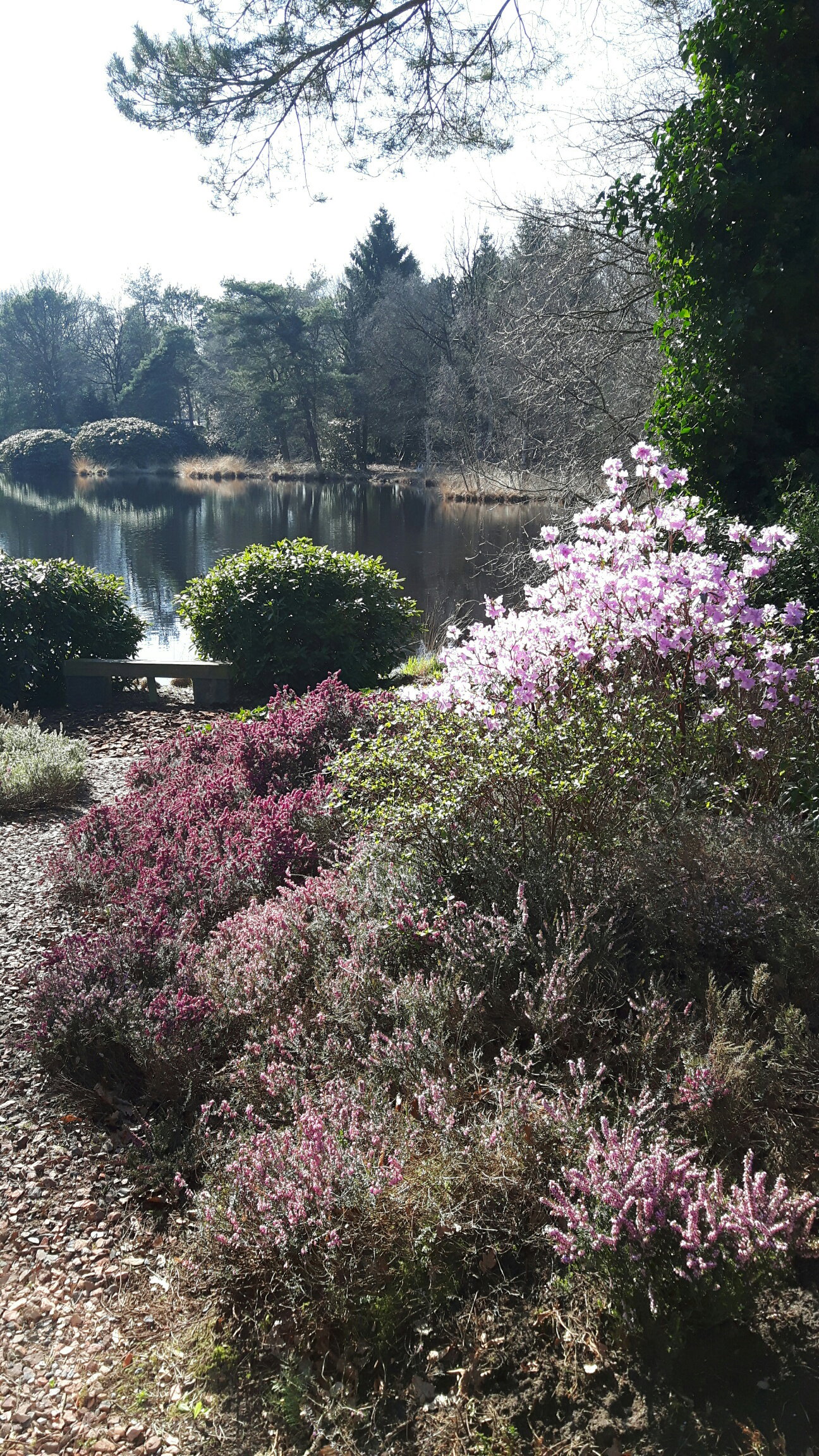 Maison nature à Een
