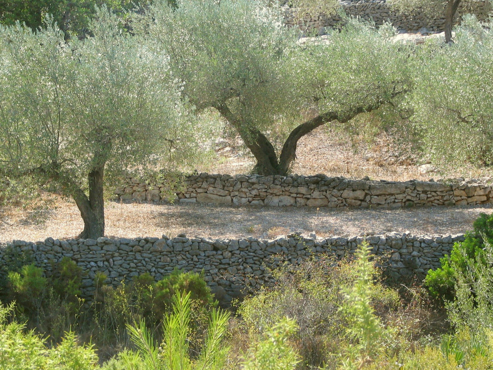 Maison nature à El Perelló