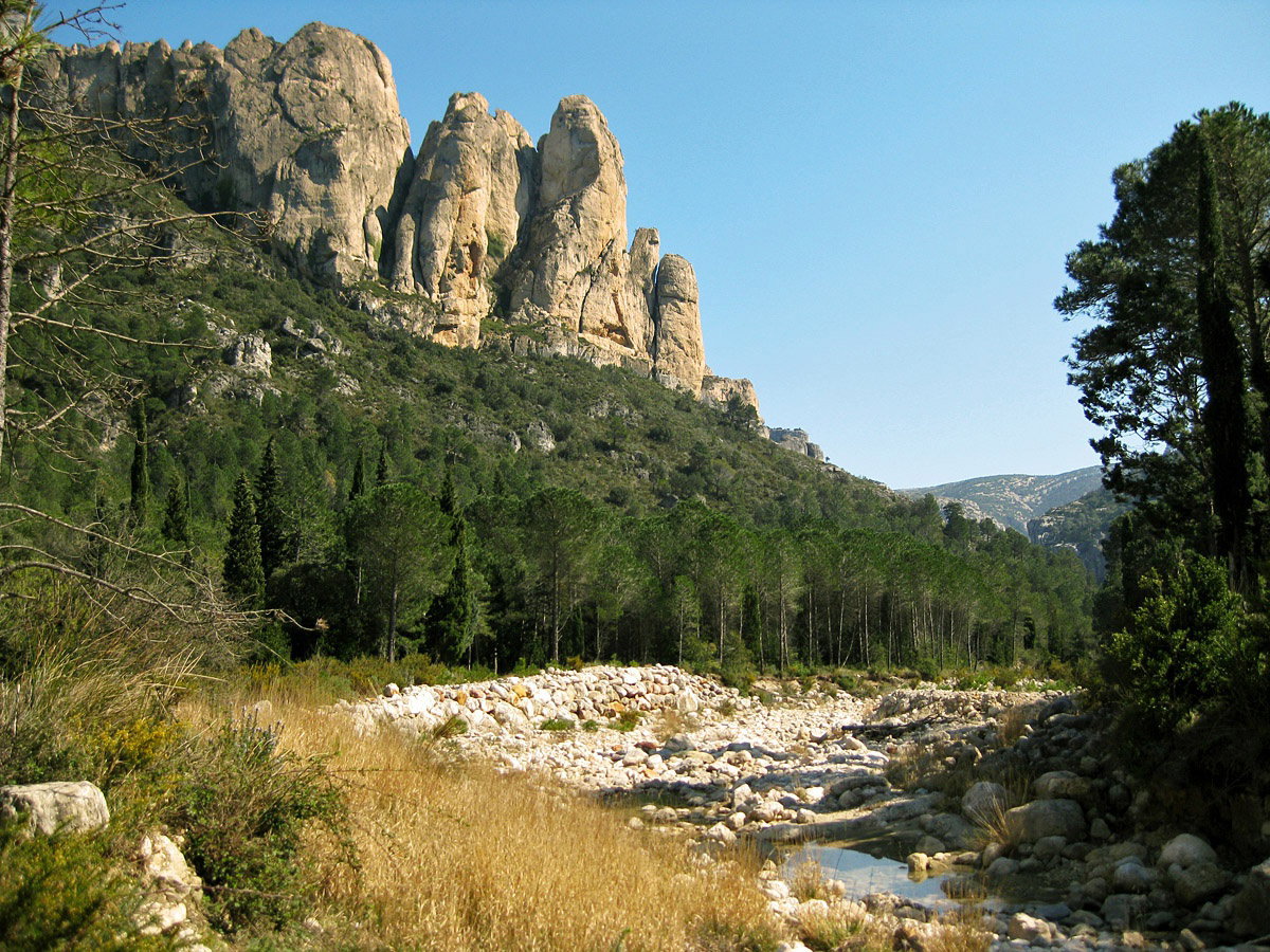 - image: 17