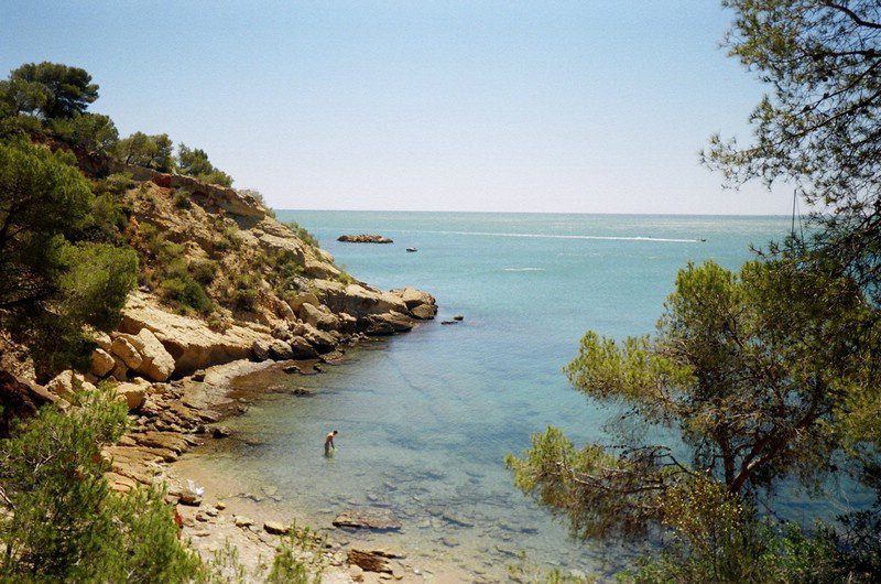 - image: 11