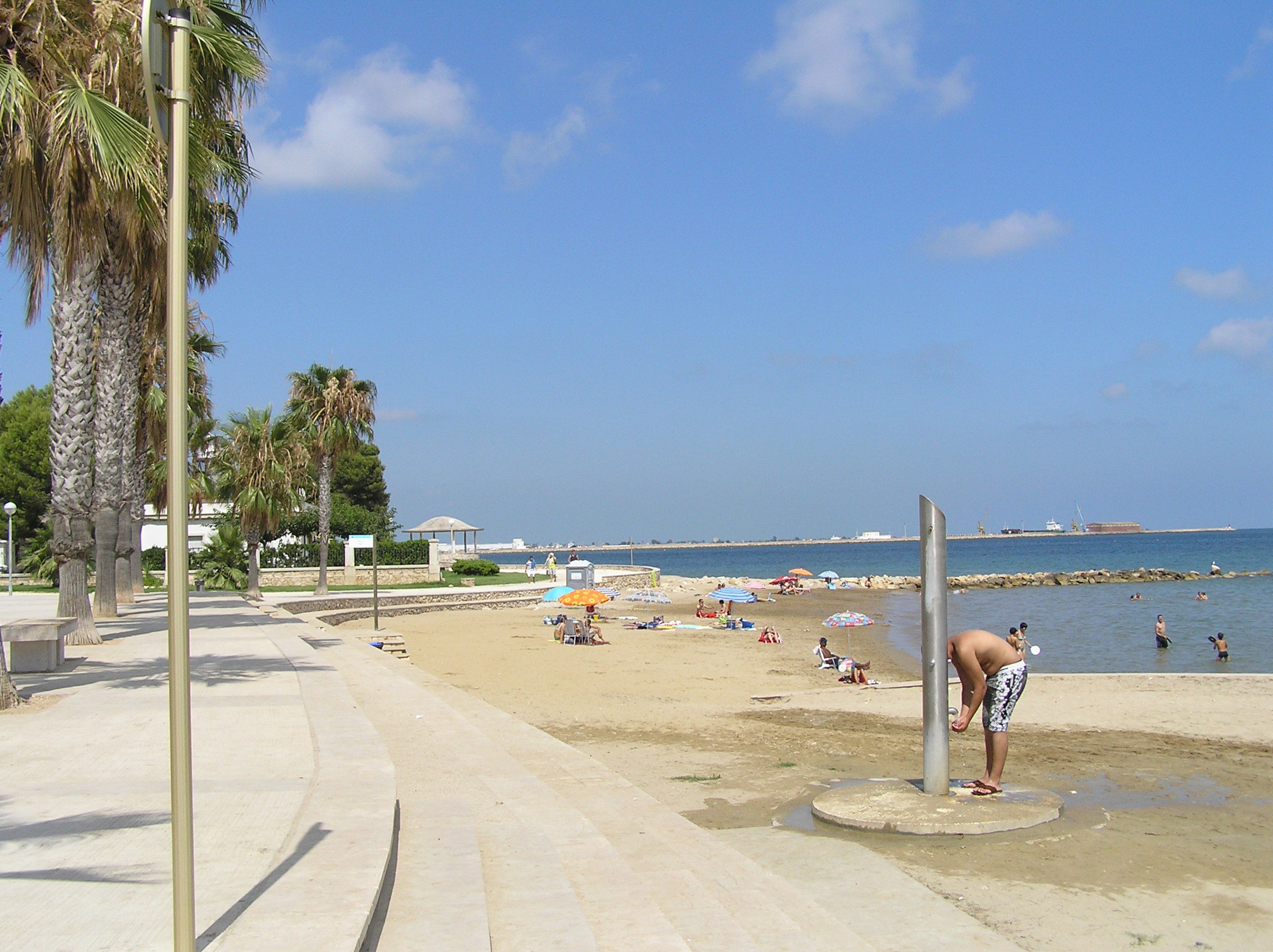 - image: 12