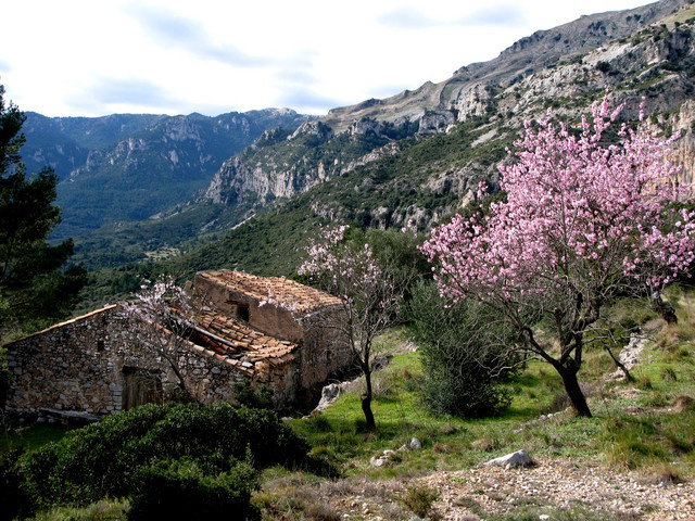 - image: 15