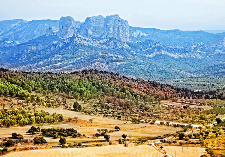 - image: 18