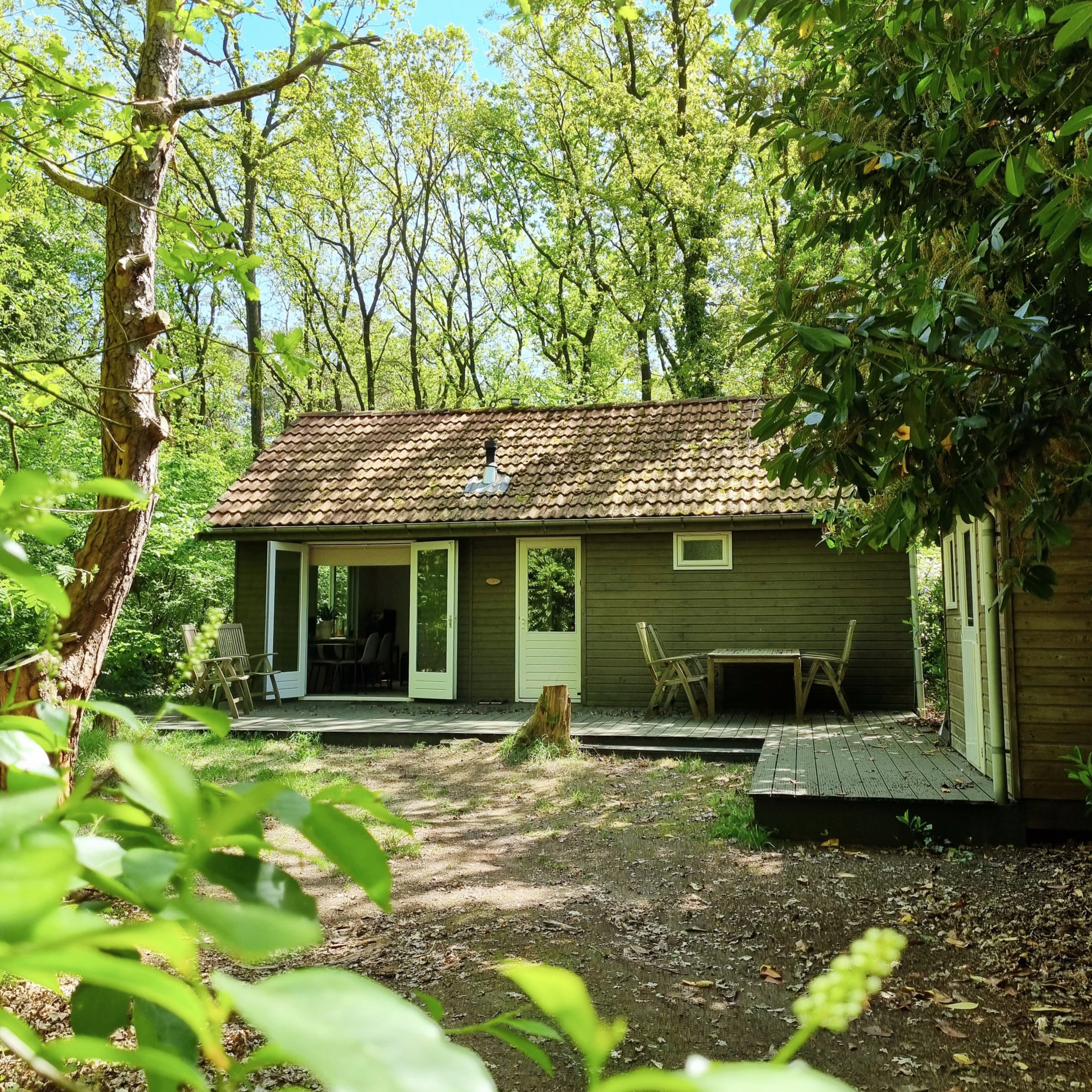 Natuurhuisje in Mariënberg