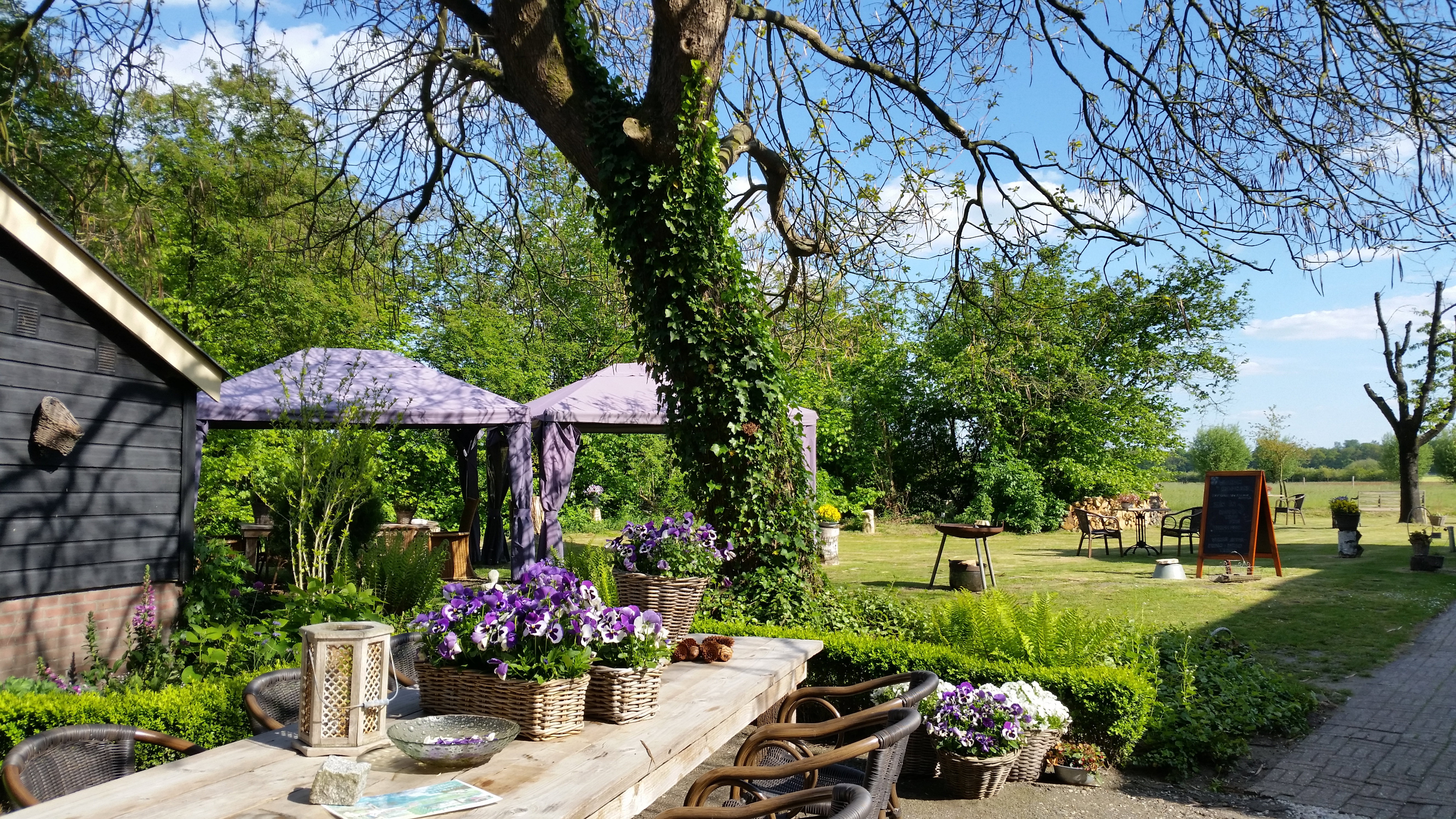 Natuurhuisje in Warnsveld