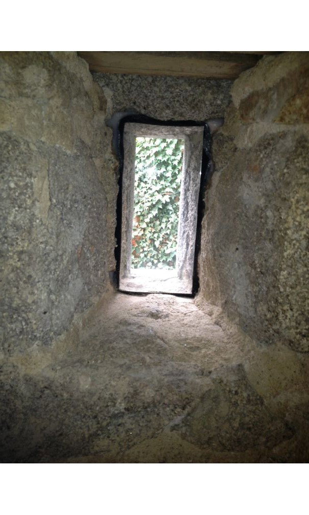- image: 12