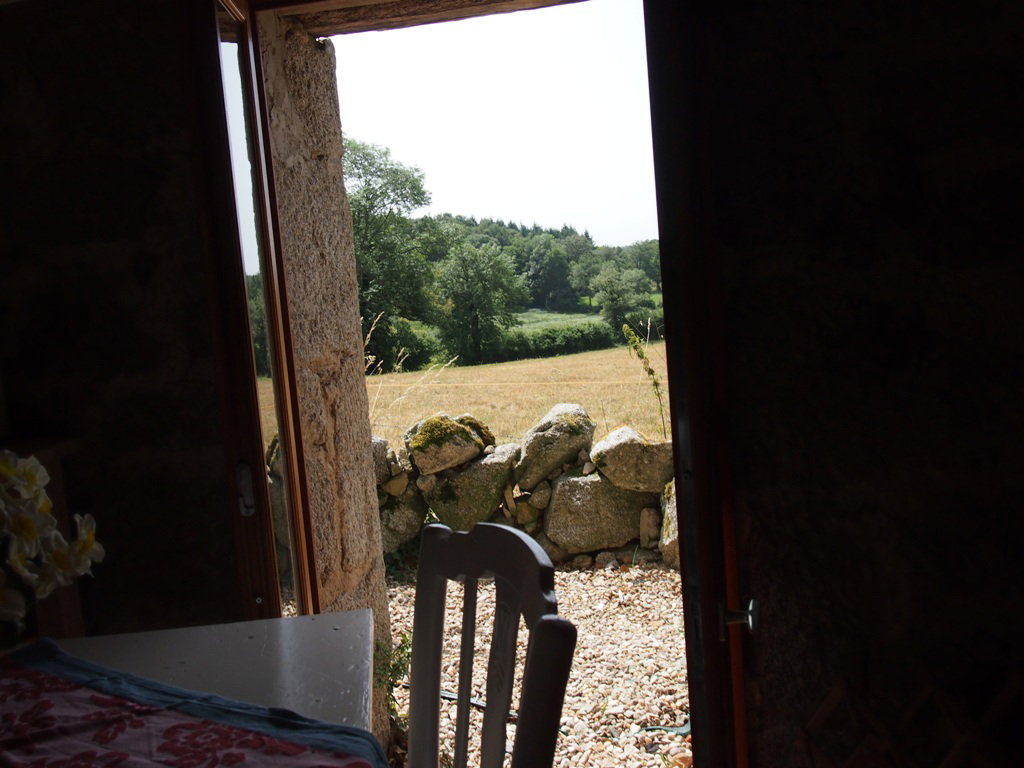 - image: 13