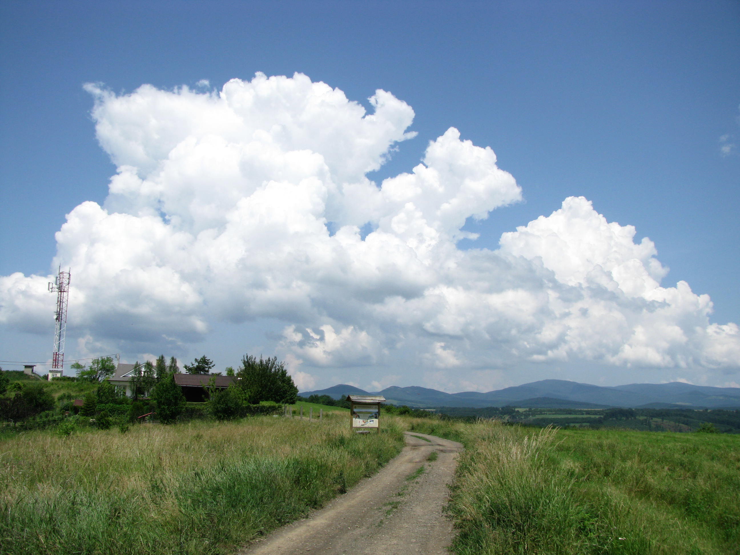 - image: 26
