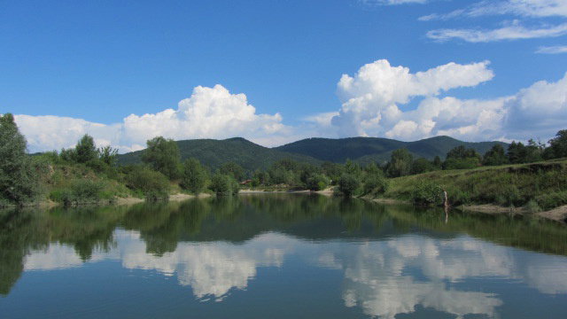- image: 24