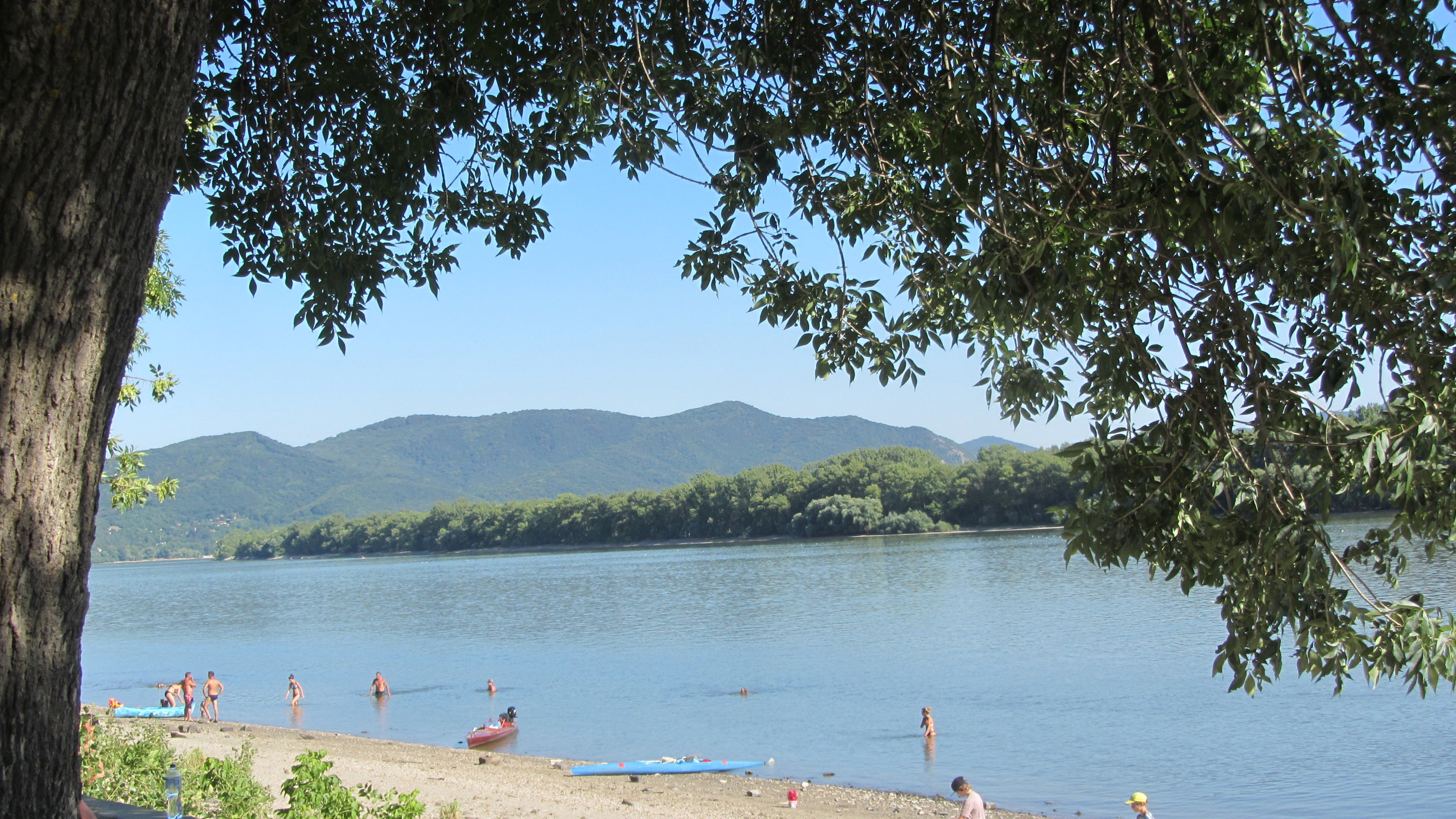 - image: 23