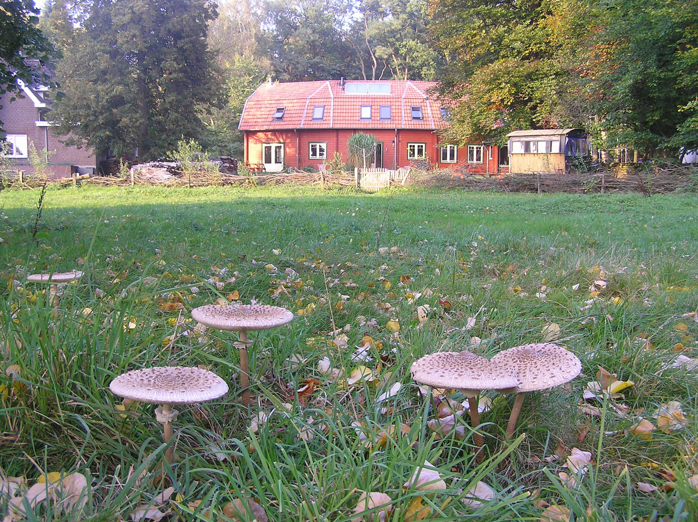 Naturhäuschen in Swalmen