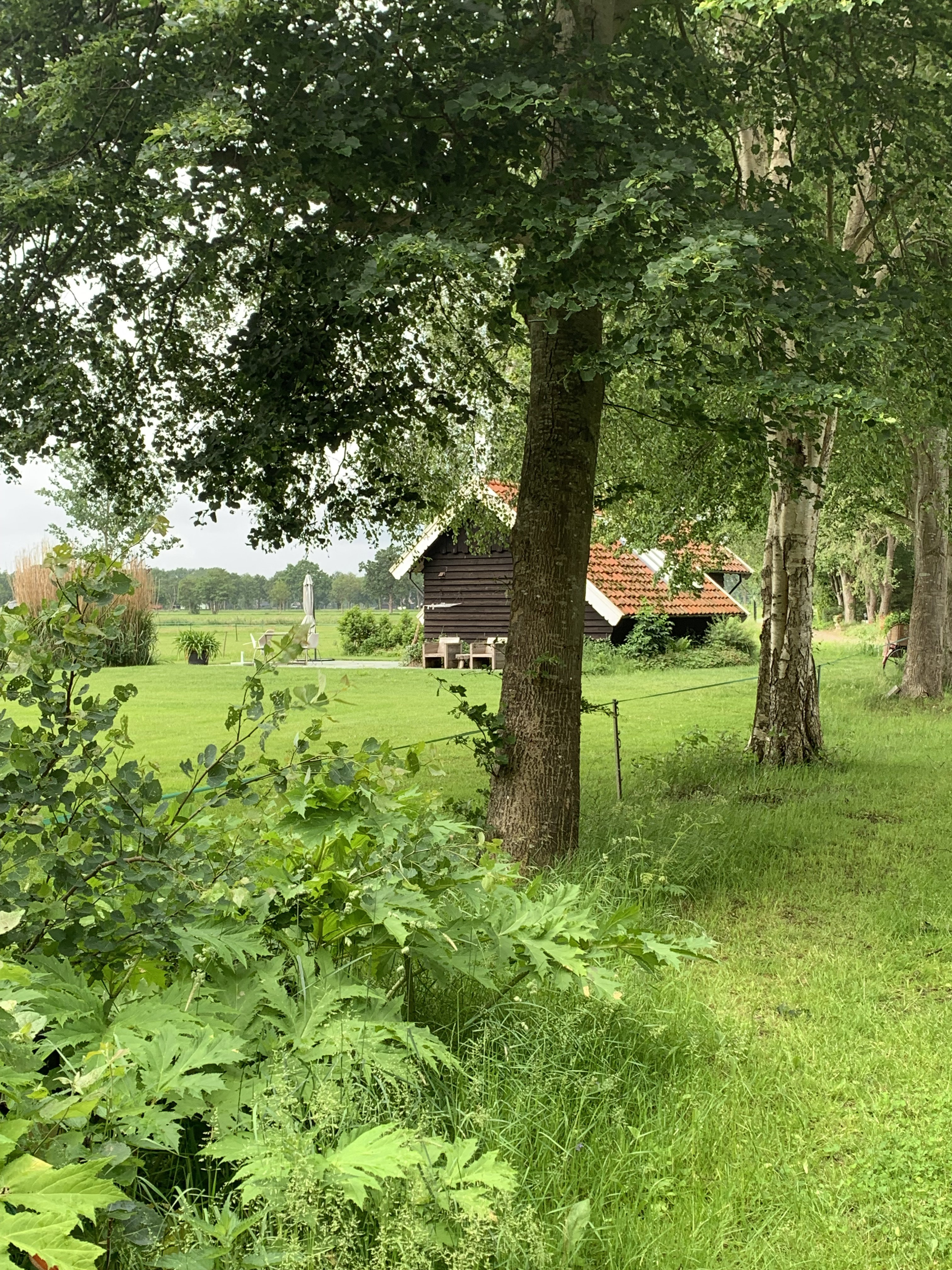 Natuurhuisje in IJhorst