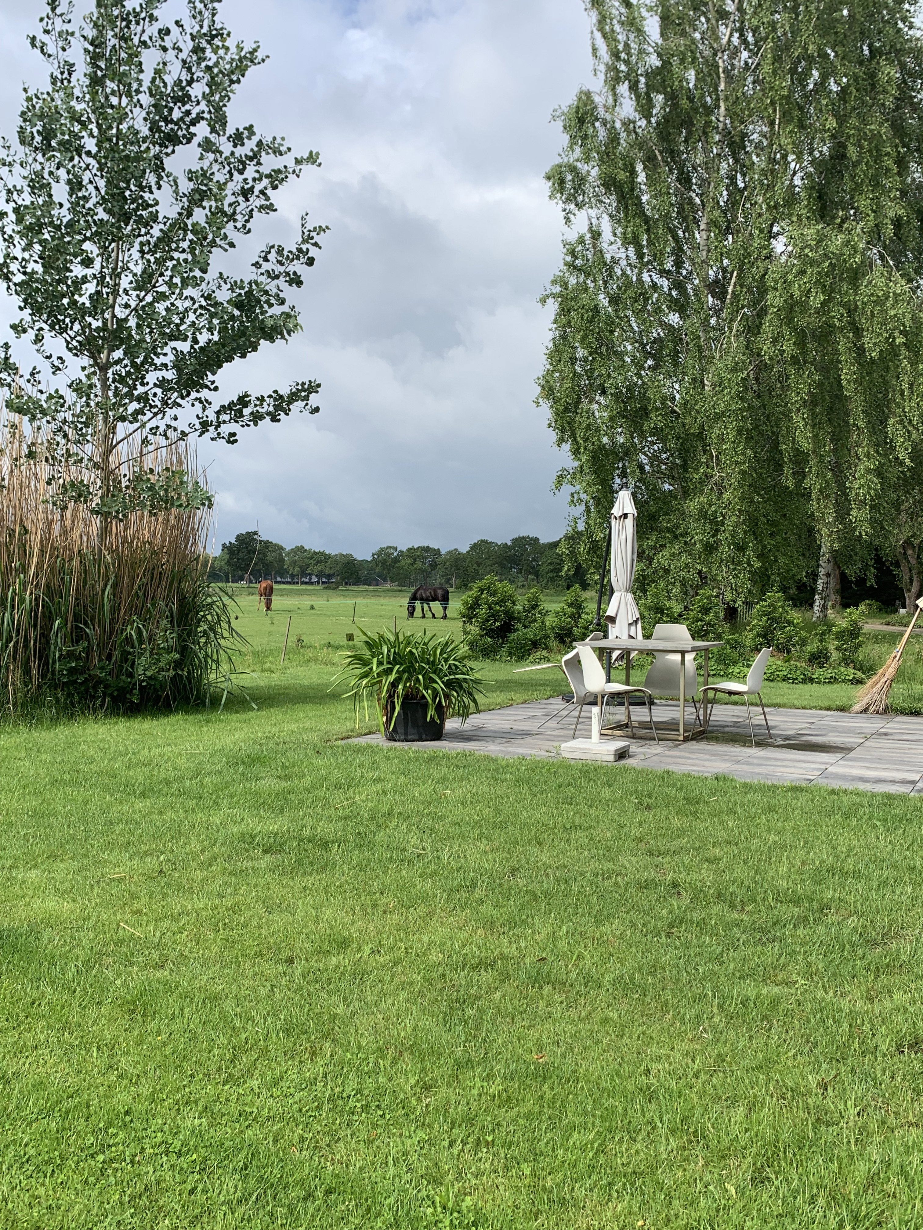 Natuurhuisje in IJhorst