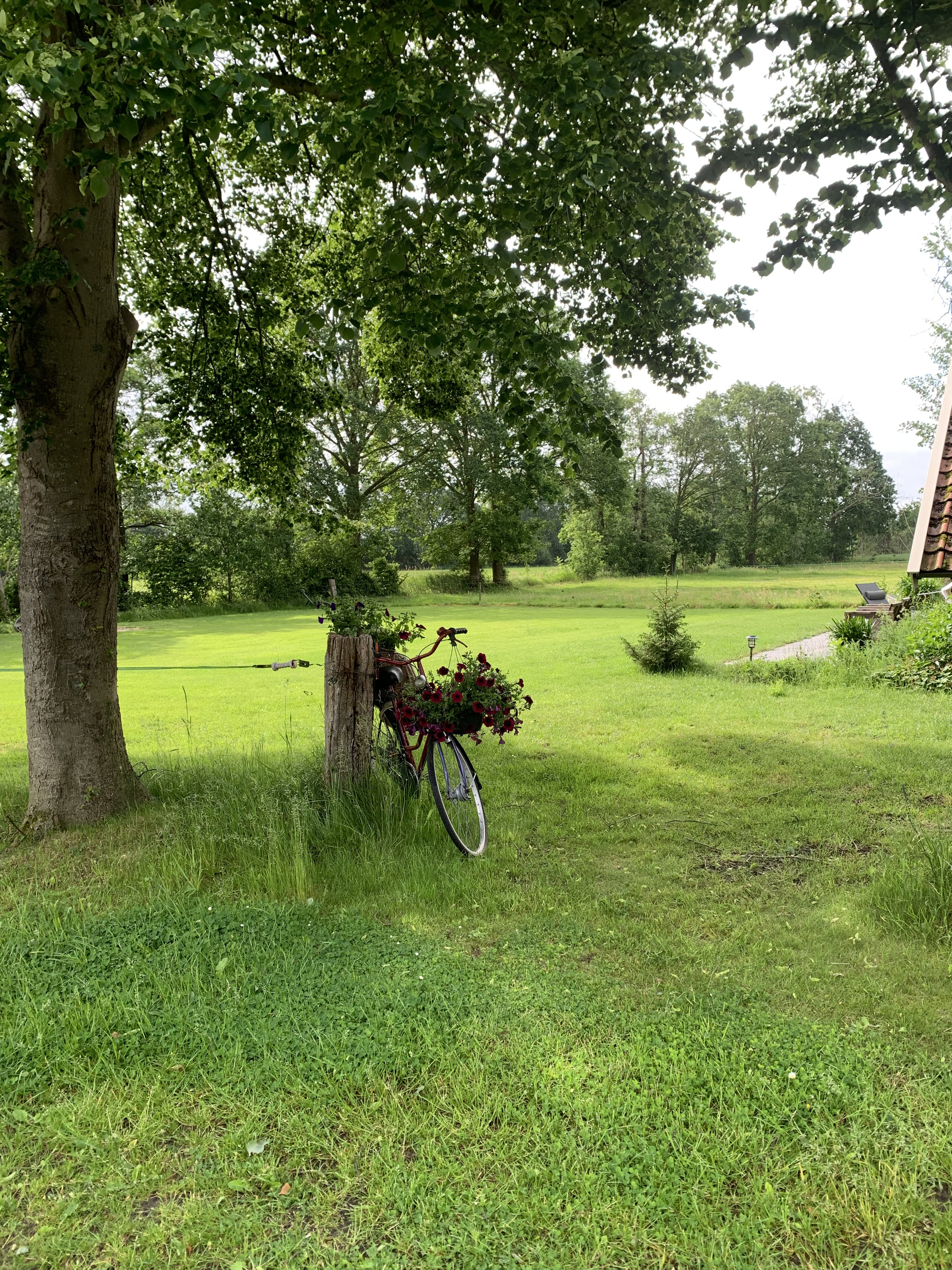 Natuurhuisje in IJhorst