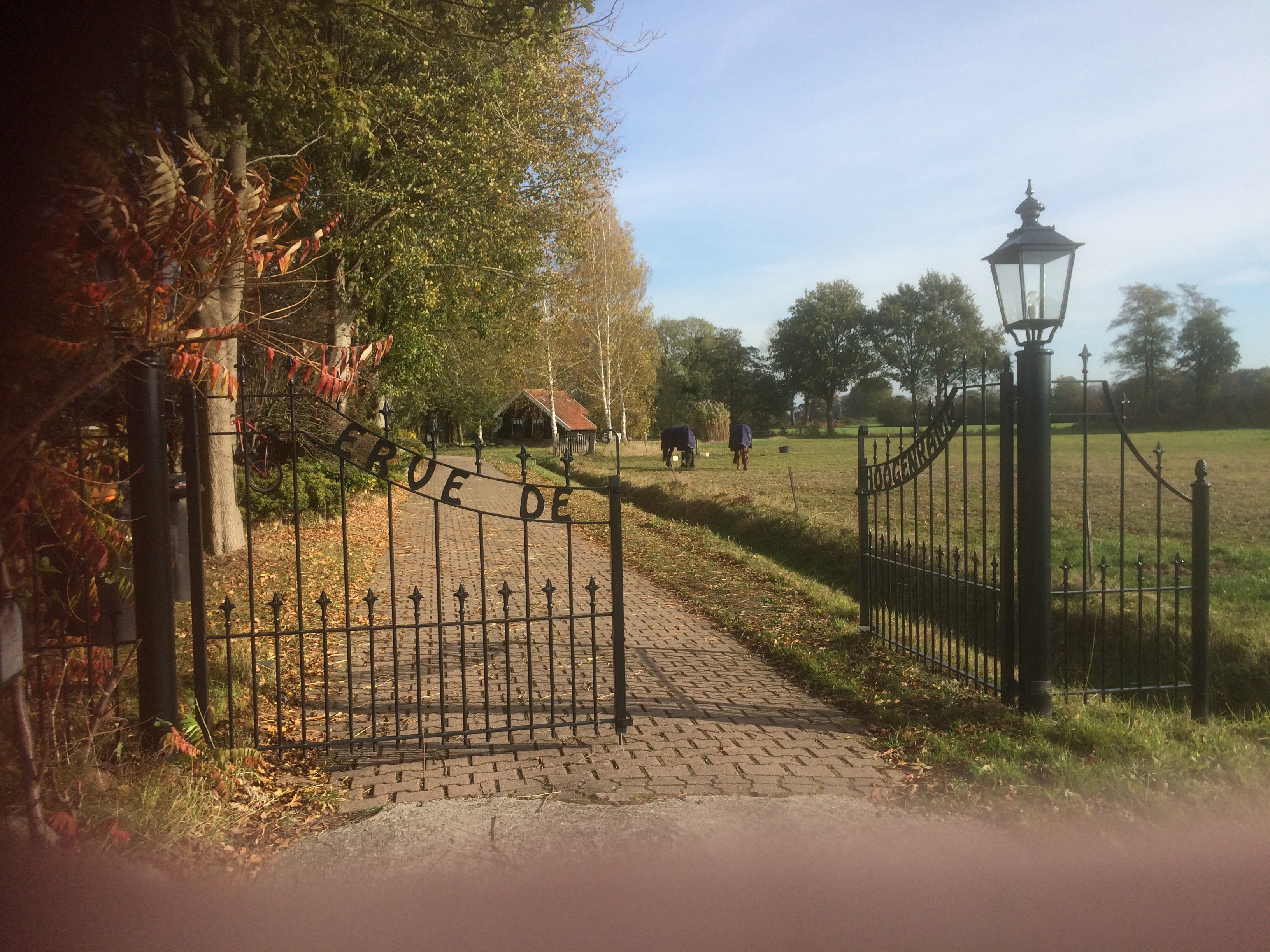 Natuurhuisje in IJhorst
