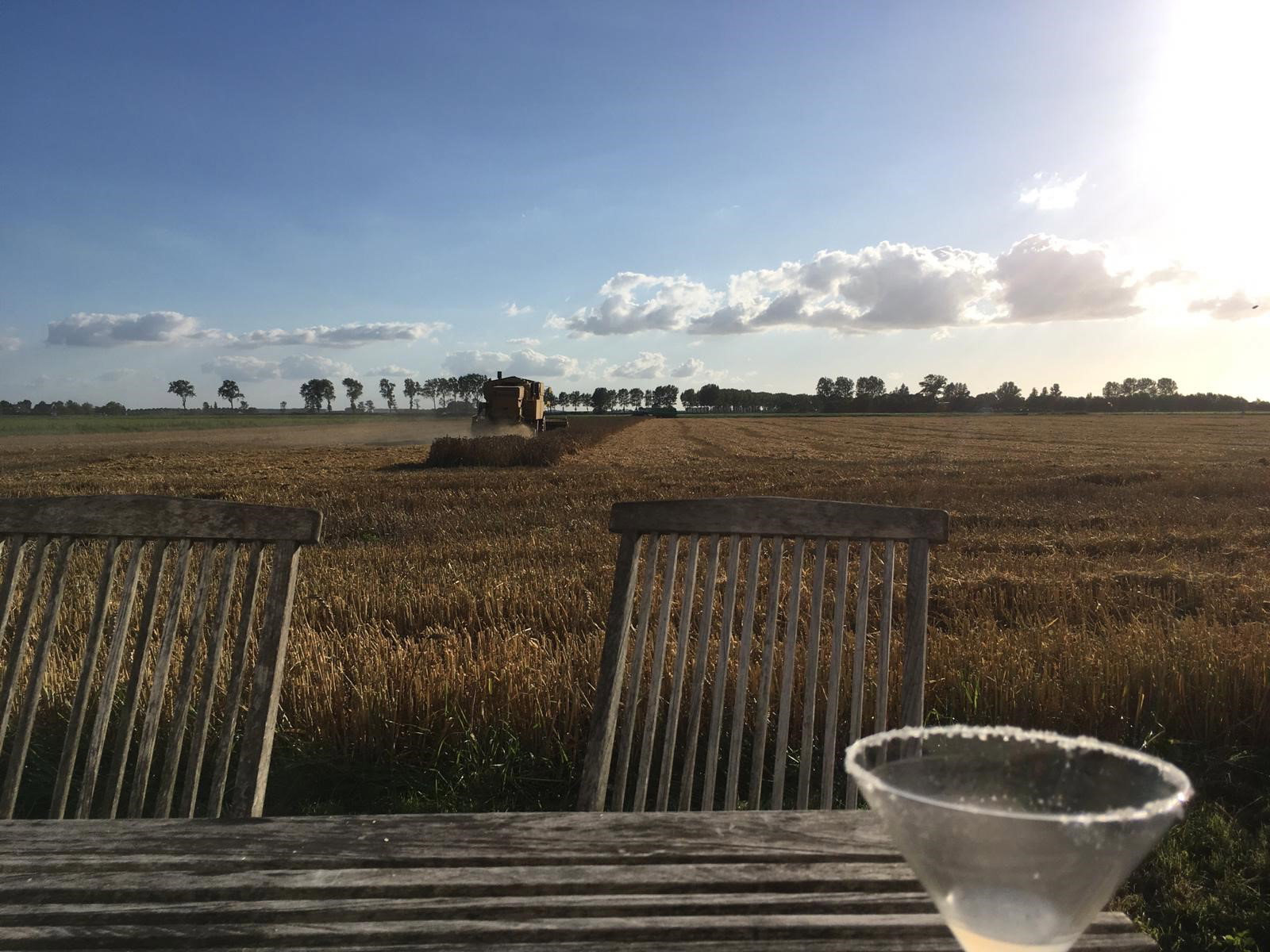 Naturhäuschen in Walsoorden
