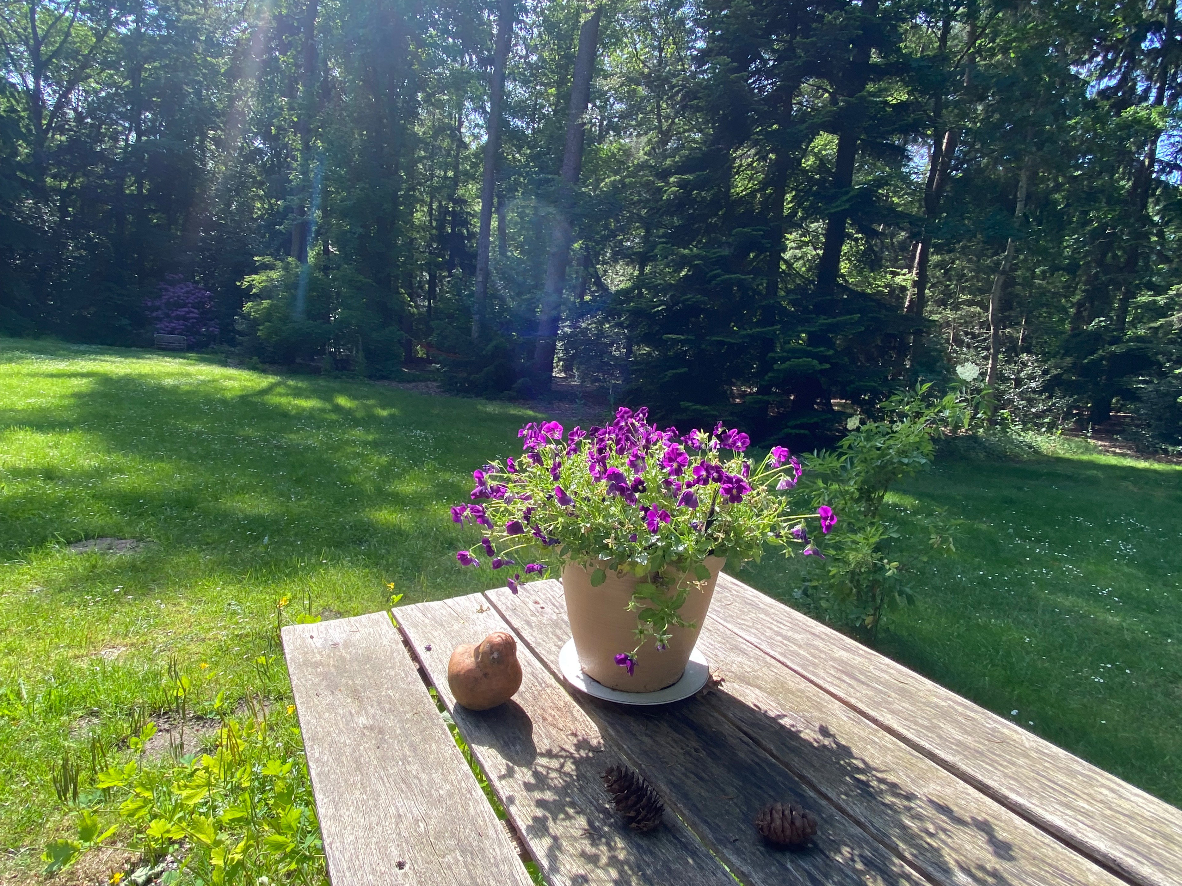 Natuurhuisje in Eefde