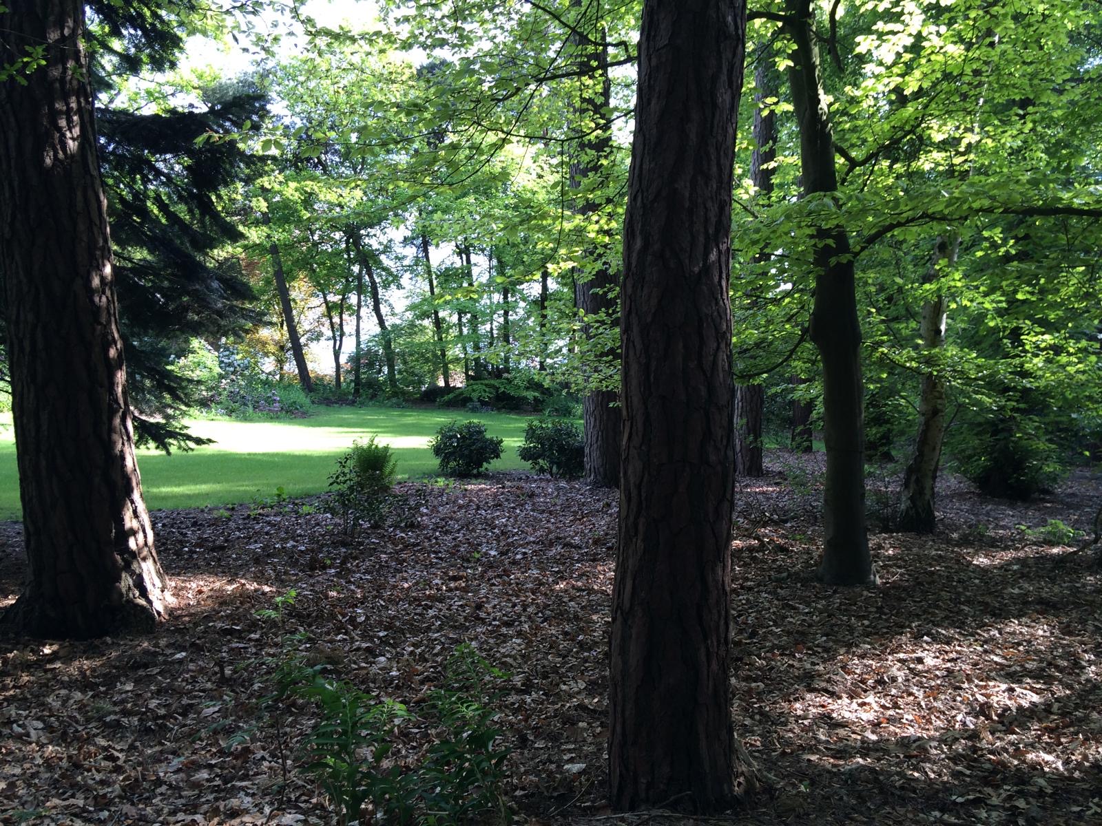 Natuurhuisje in Eefde