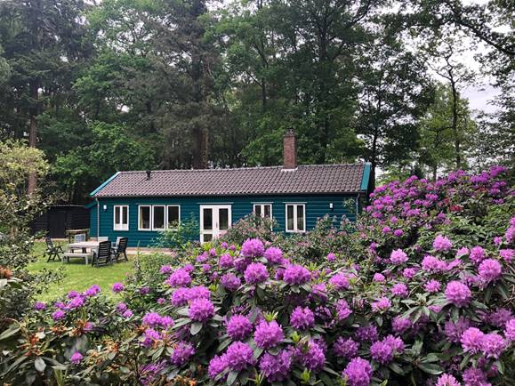 Natuurhuisje in Eefde