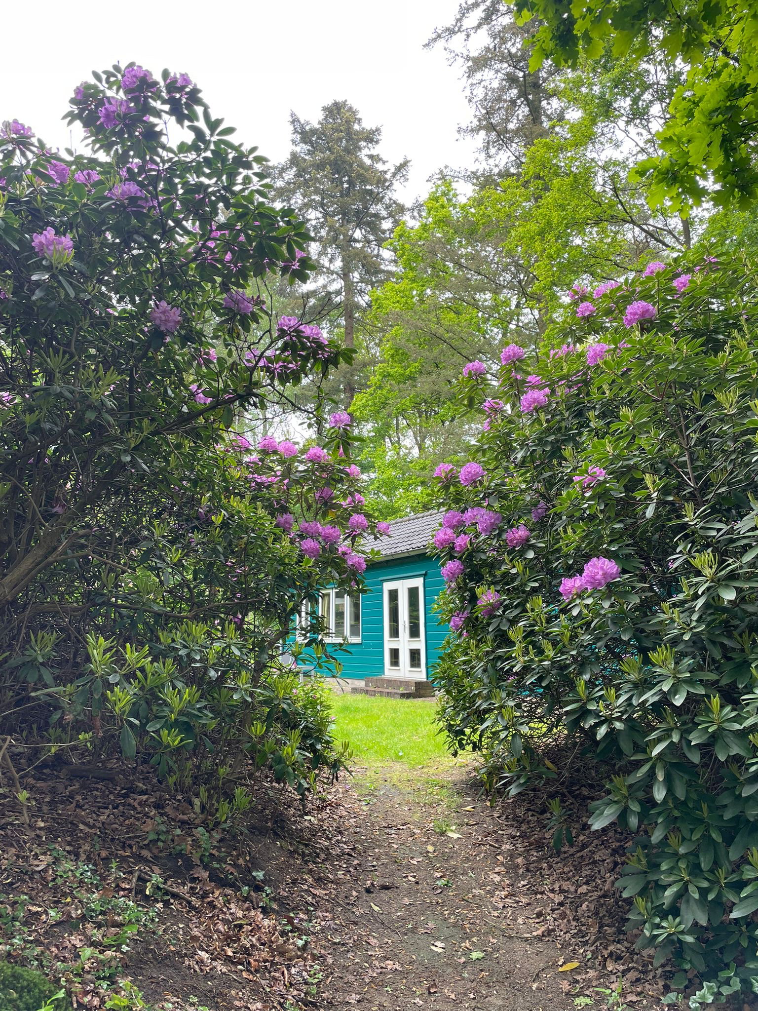 Natuurhuisje in Eefde