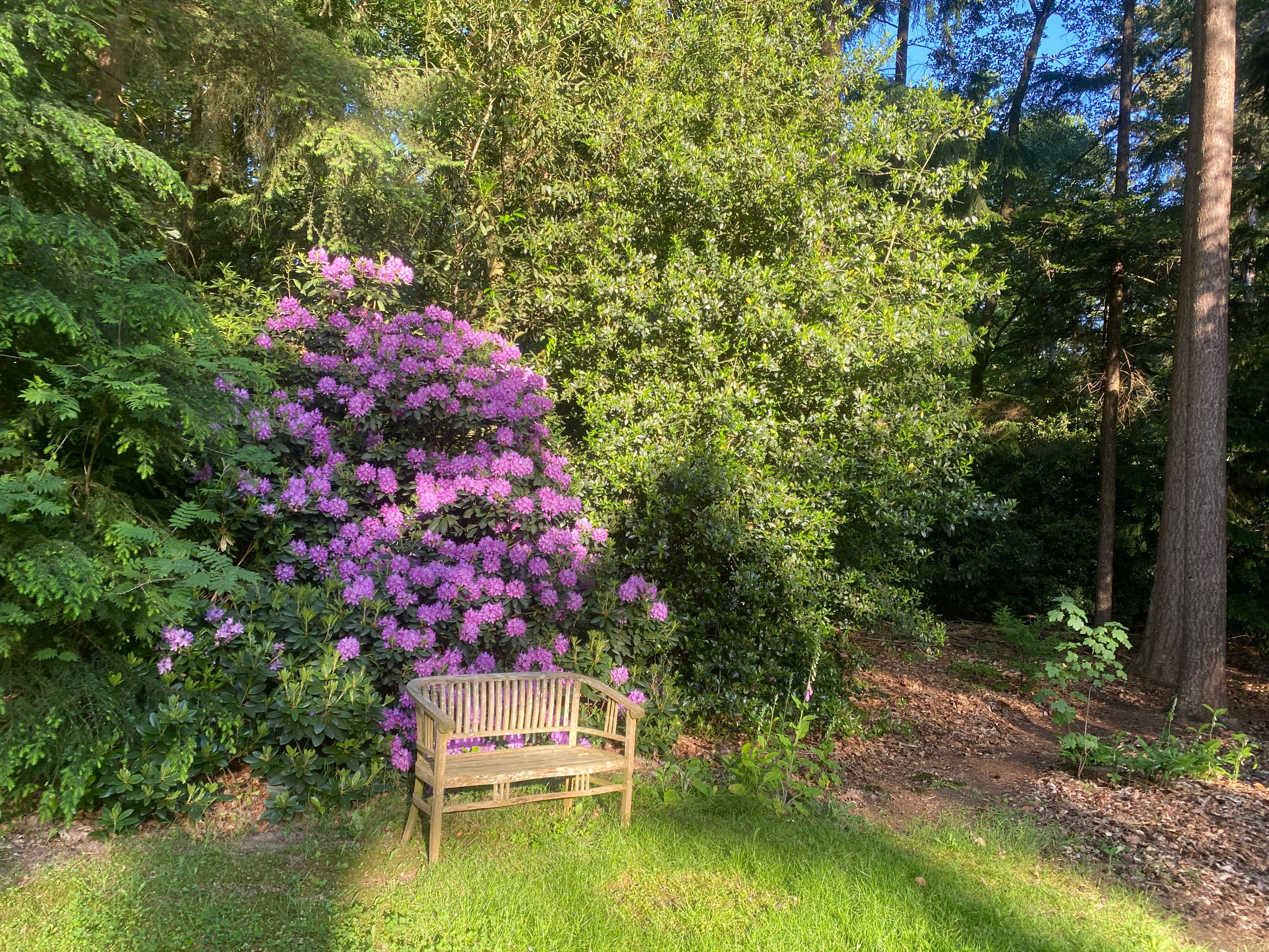 Natuurhuisje in Eefde
