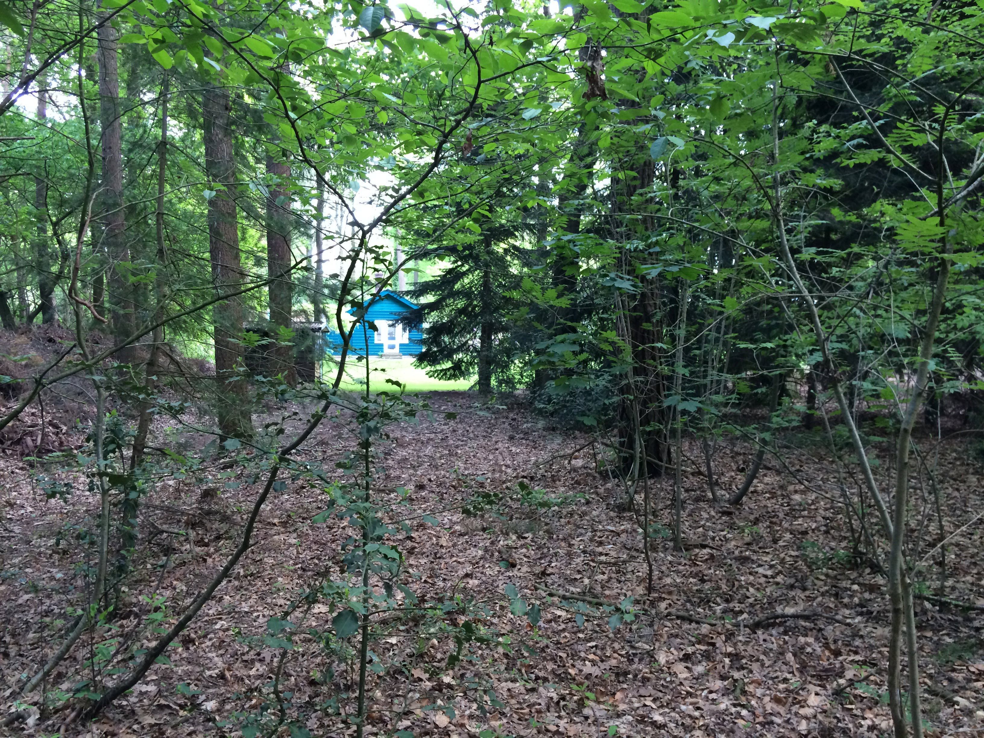 Maison nature à Eefde