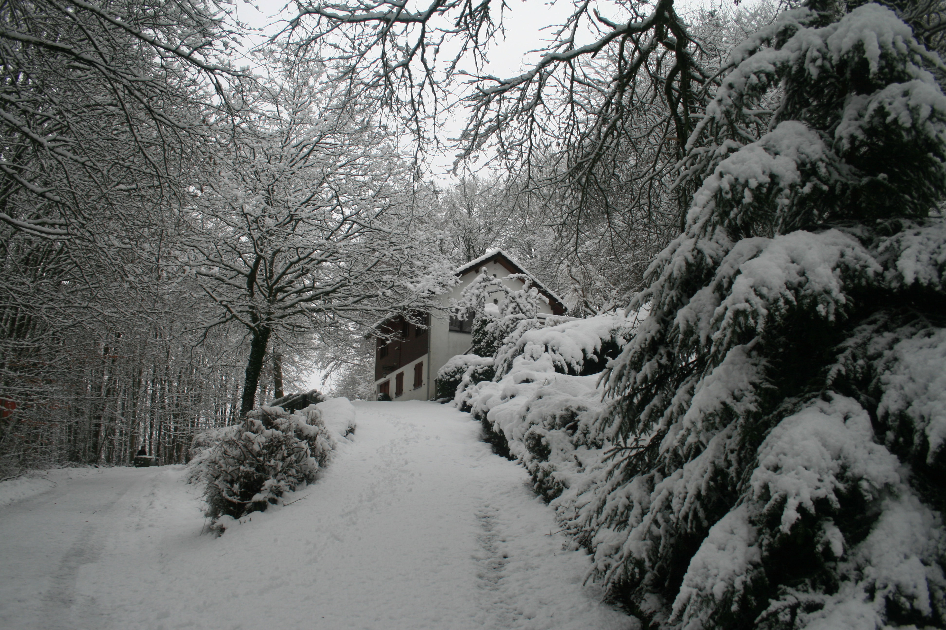 - image: 26