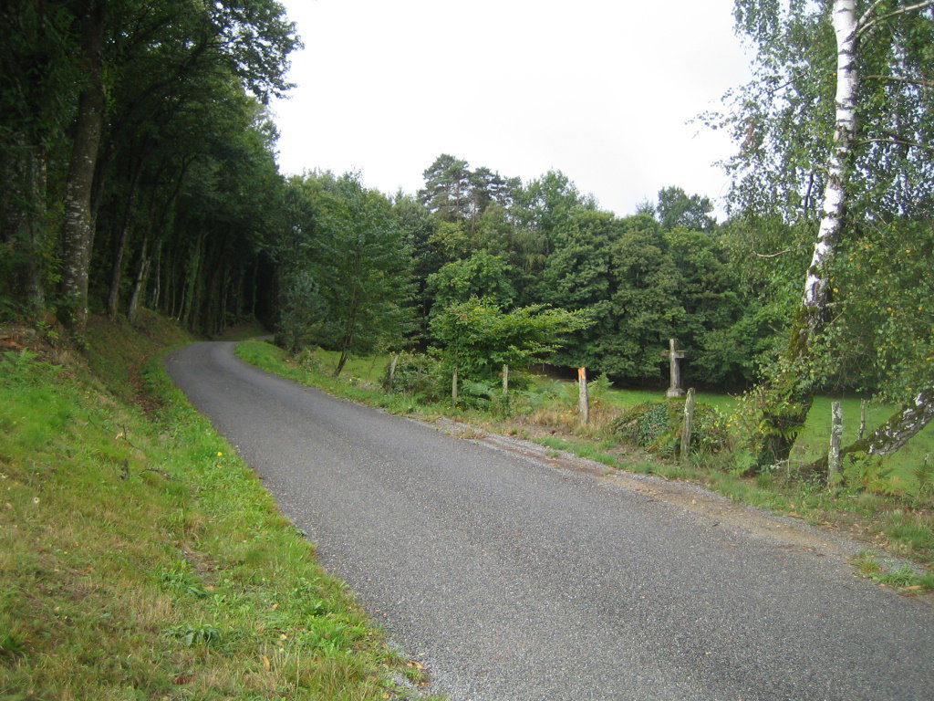 - image: 26