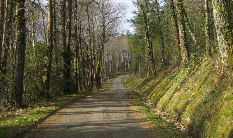 - image: 25