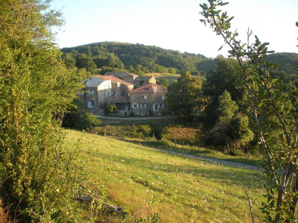 - image: 13