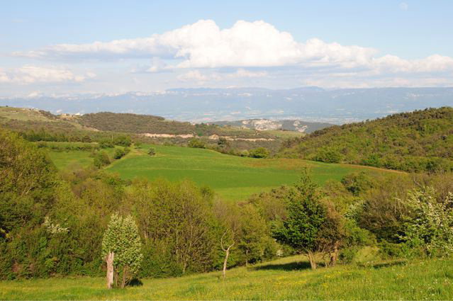 - image: 14