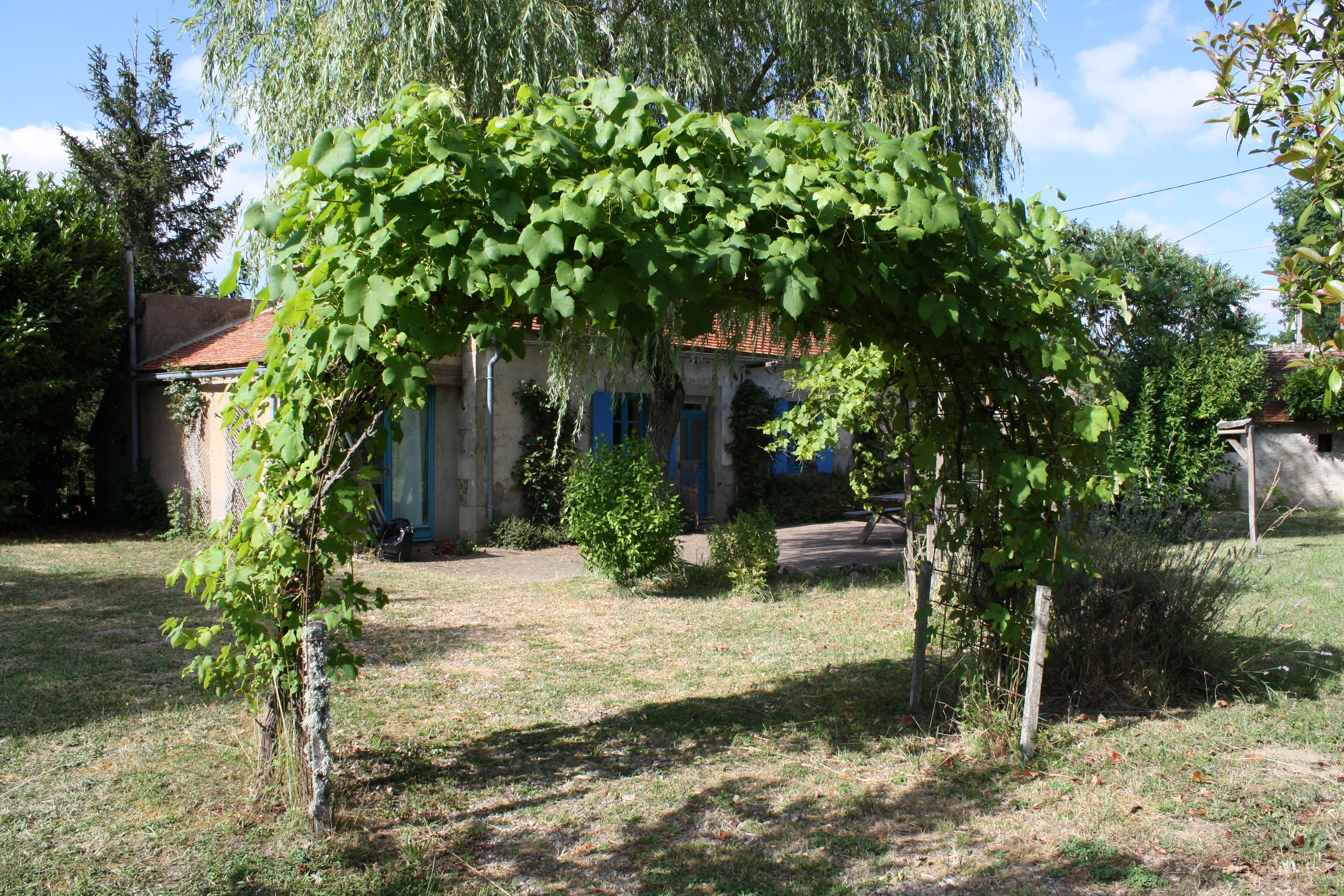 - image: 13