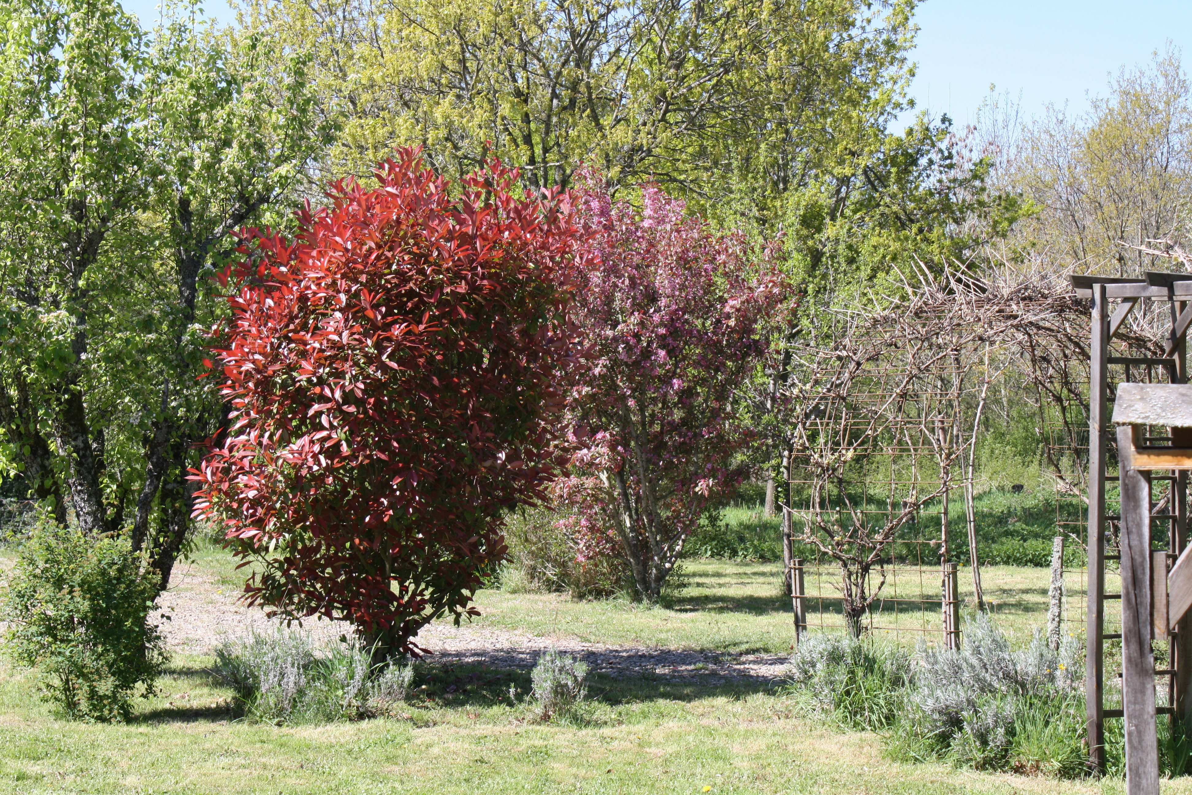 - image: 12