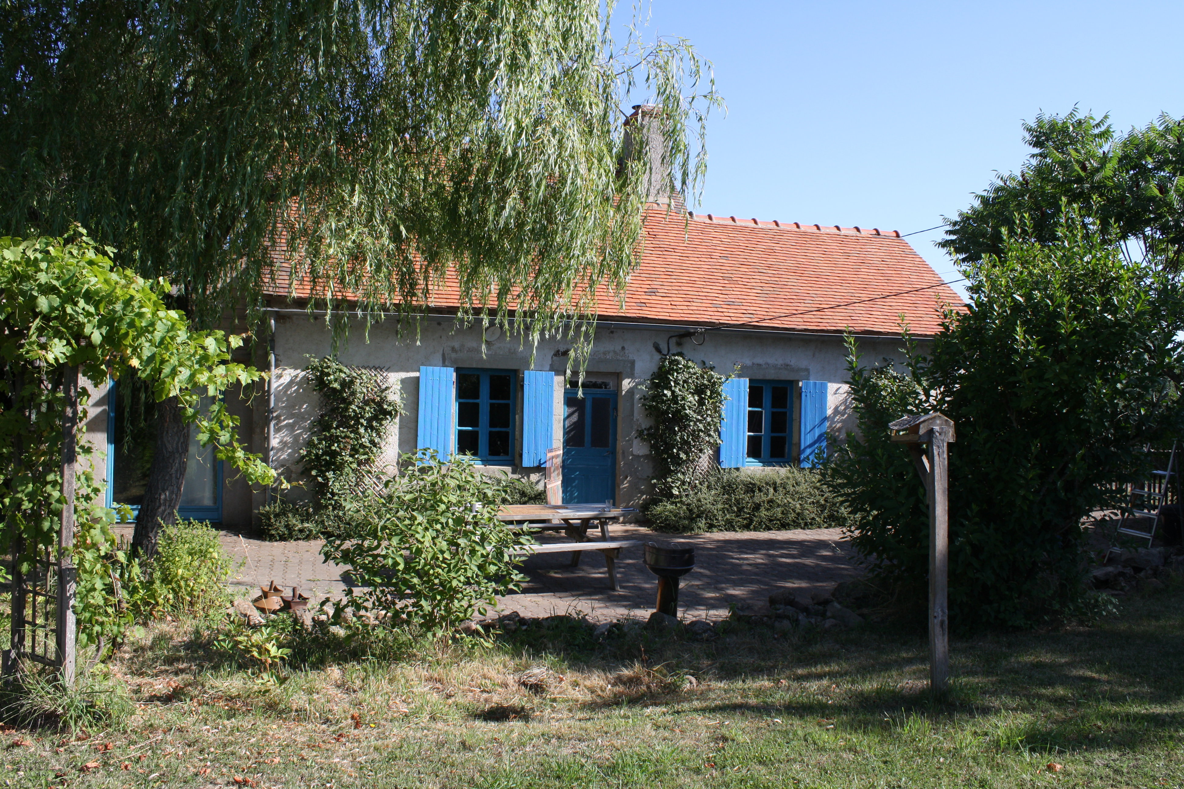 - image: 1