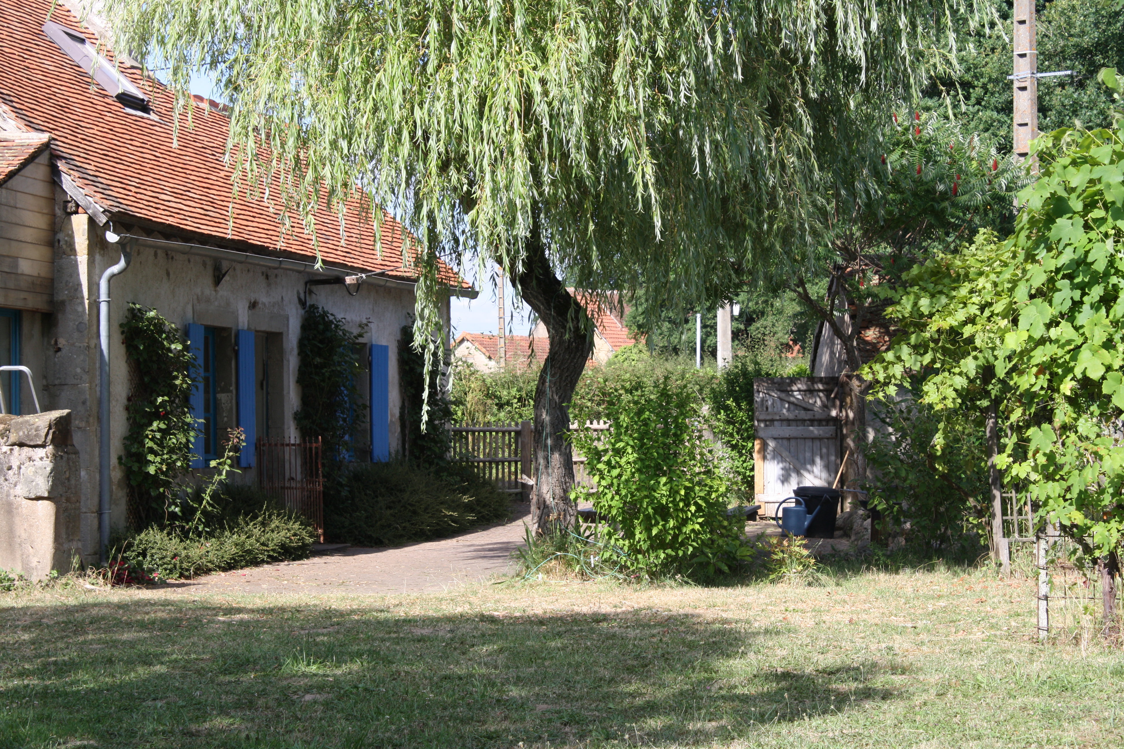 - image: 2