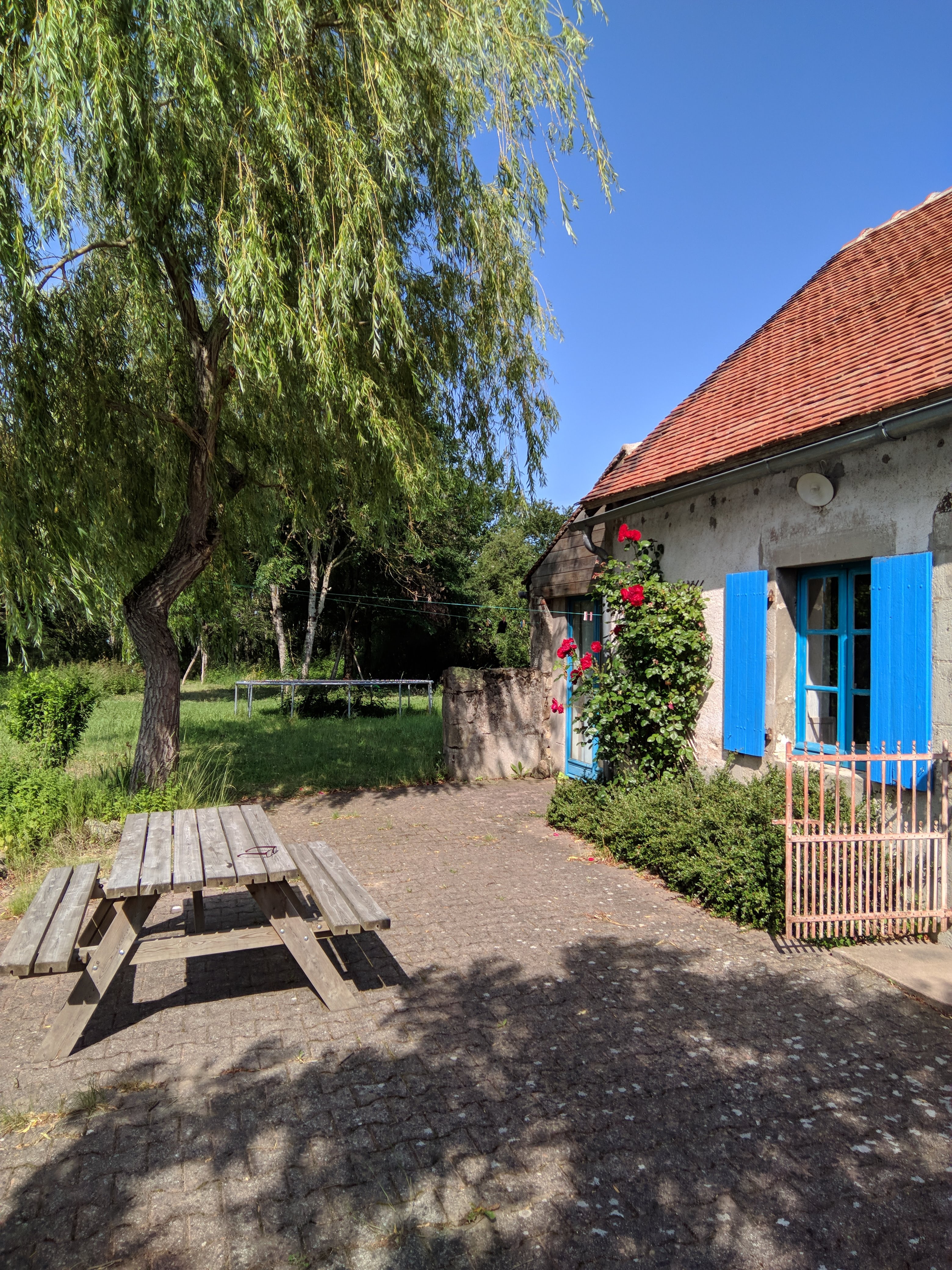 - image: 24