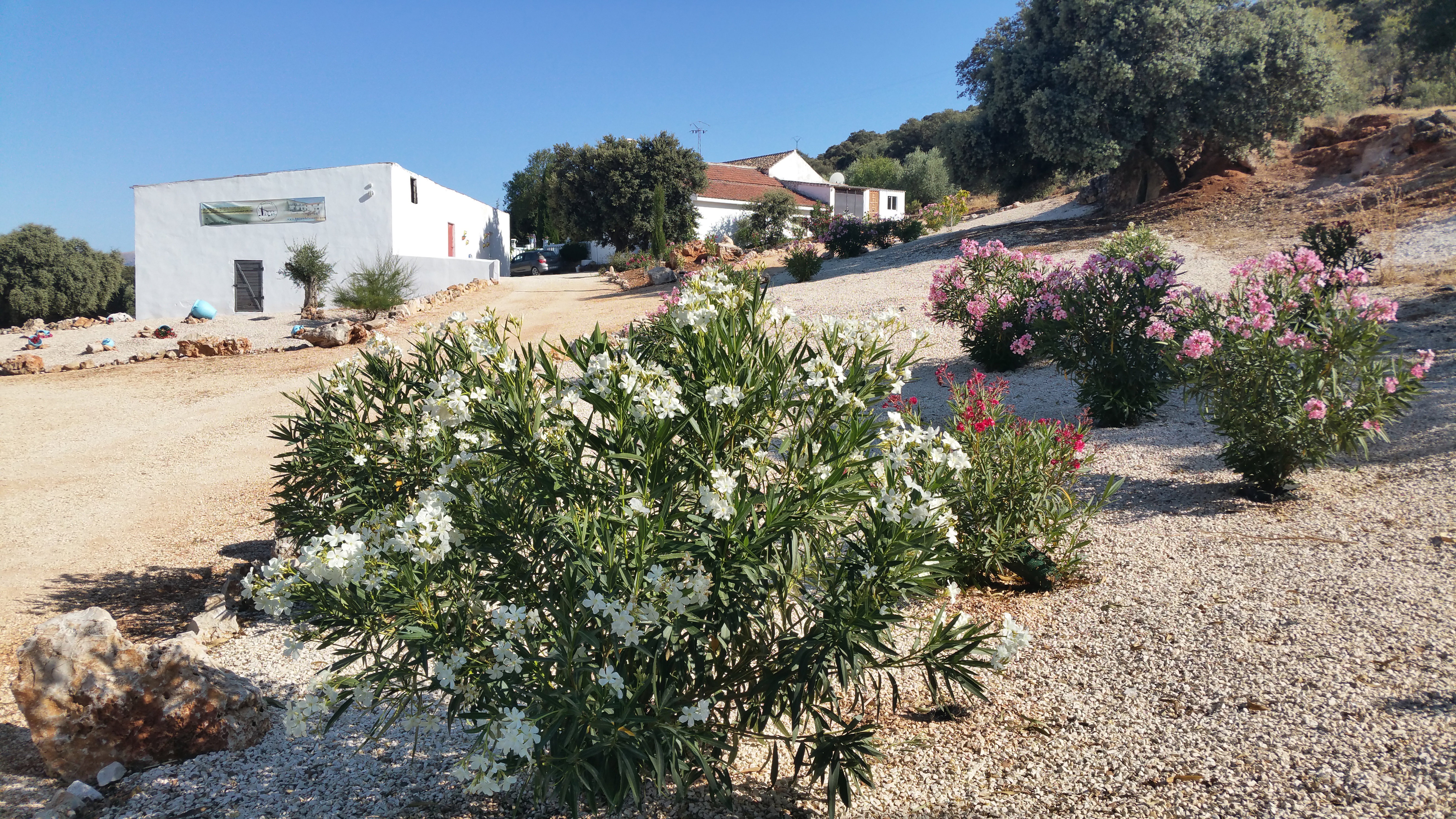 Naturhäuschen in Villanueva de Tapia