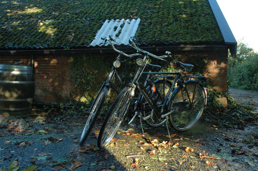 Naturhäuschen in Zevenhuizen