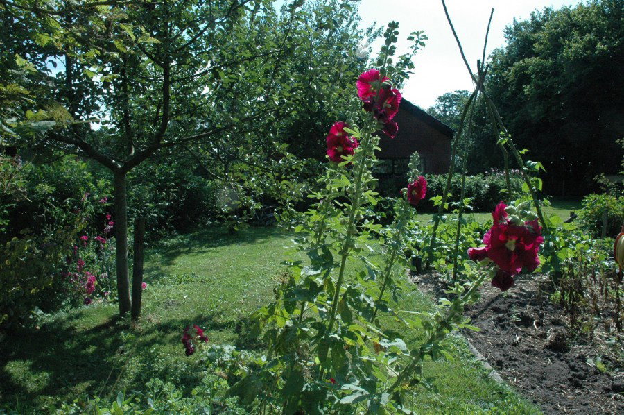 Naturhäuschen in Zevenhuizen